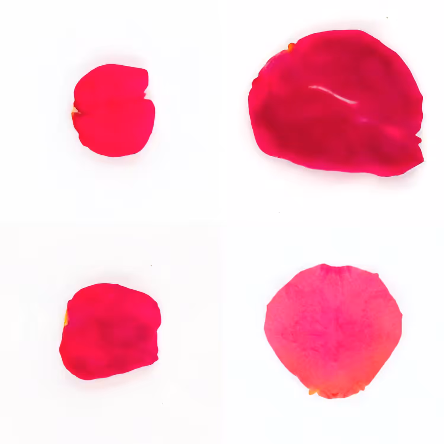 Infinite Petals 2x2#4184