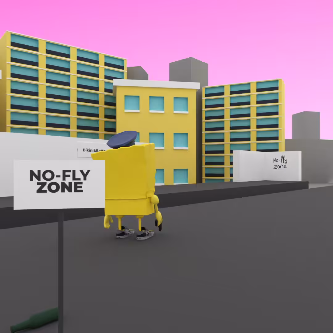 NO-FLY ZONE