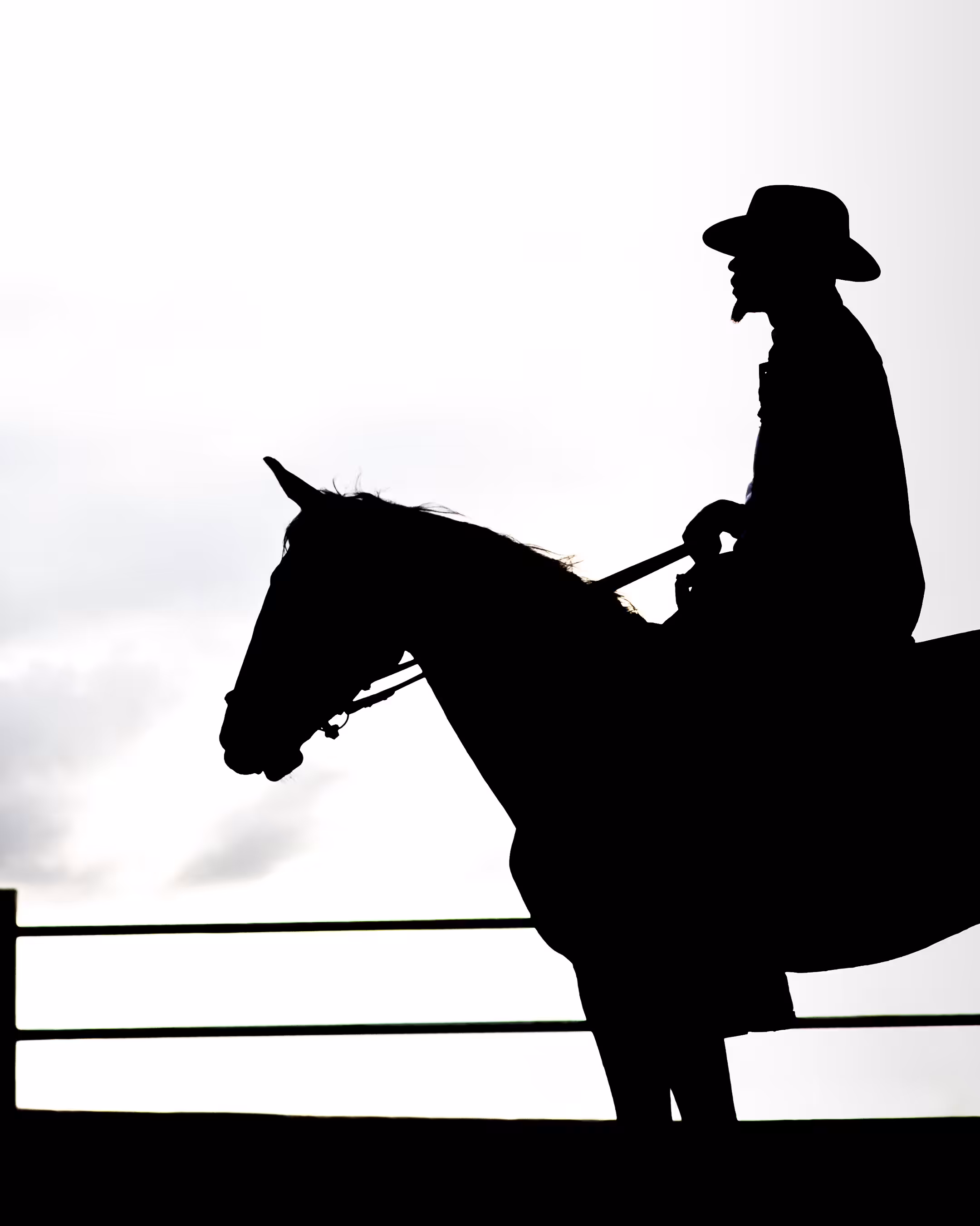 A horse tale