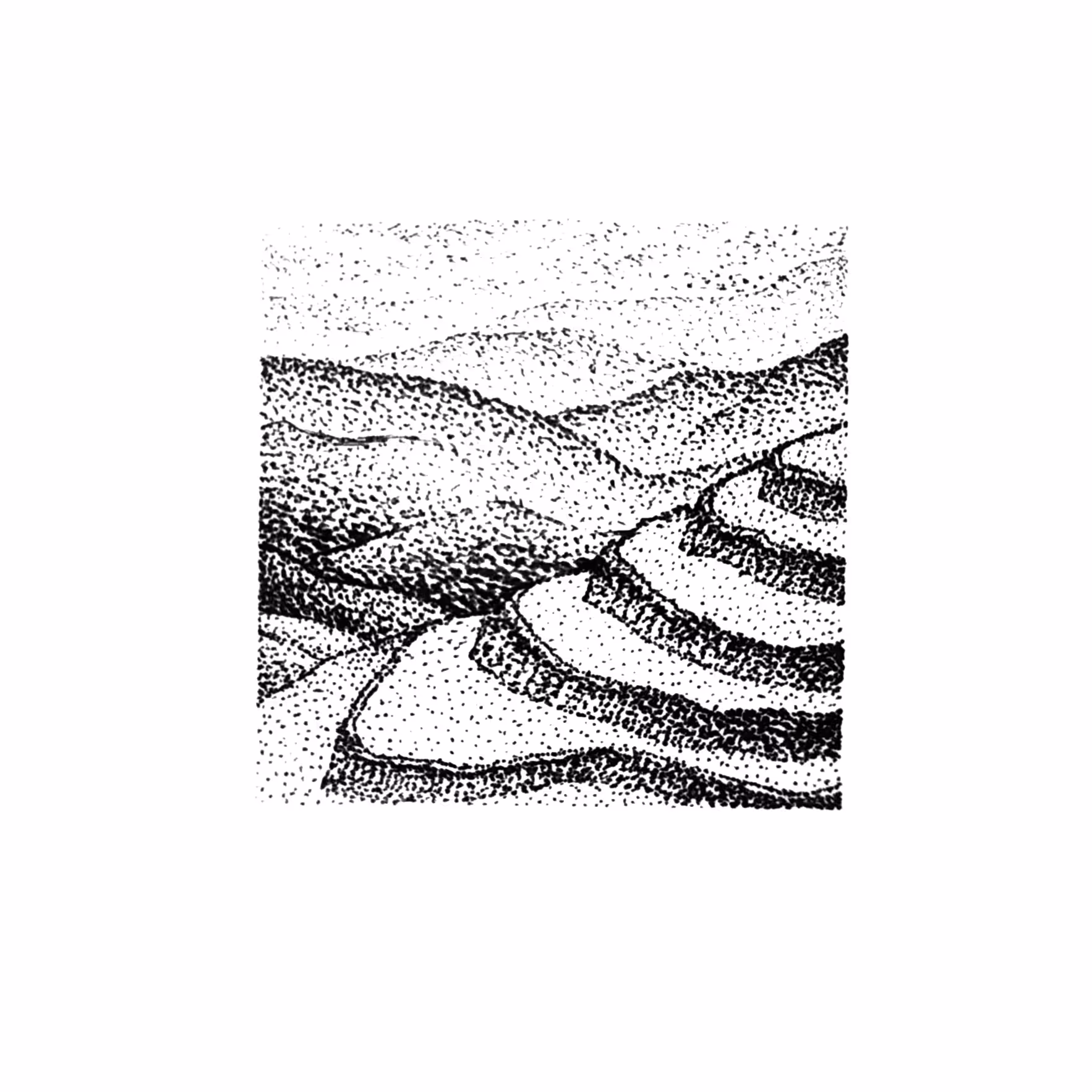 Rice paddy