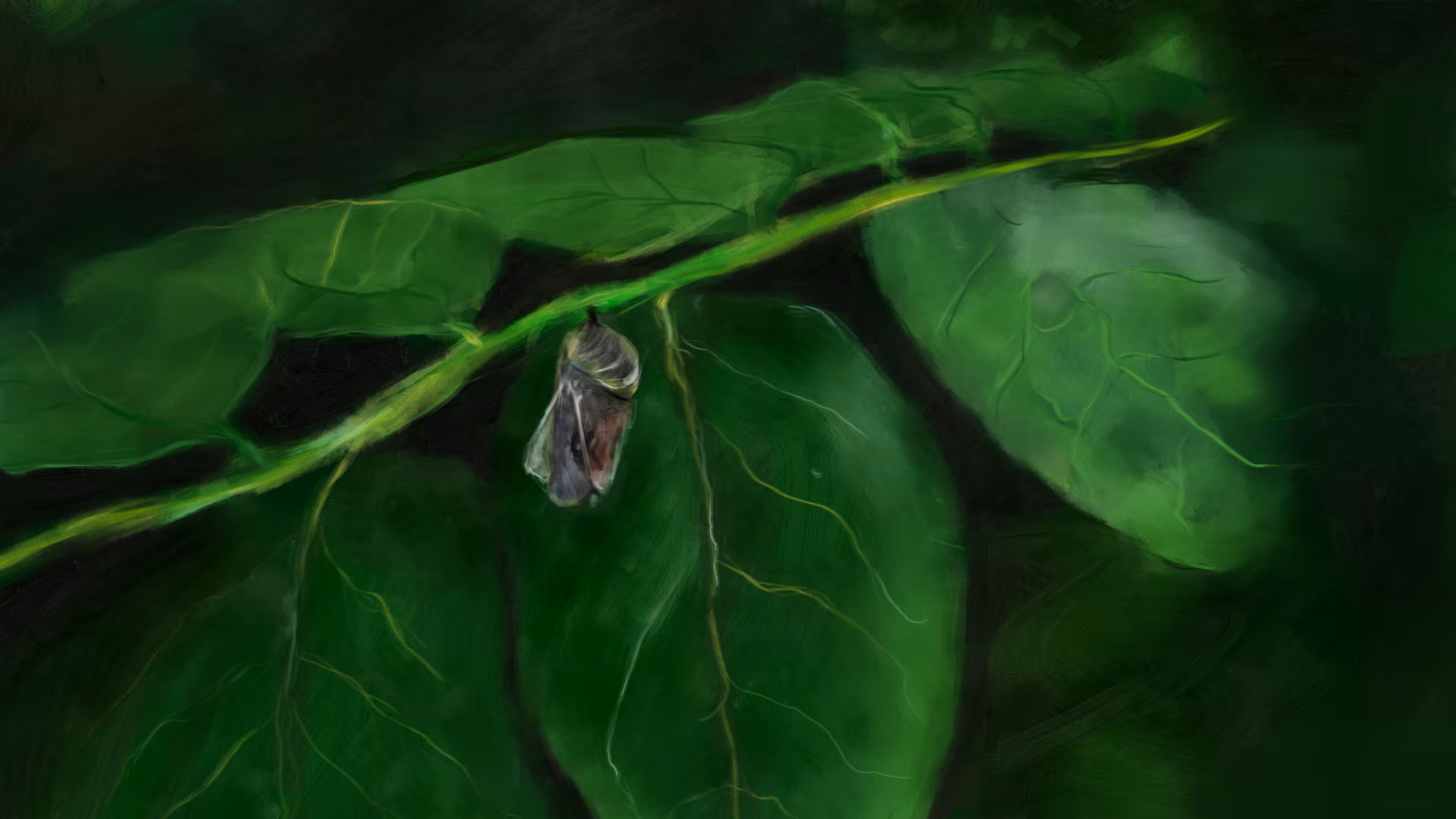 Pupa Evolve