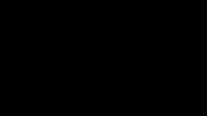 SEED swallows HOPE+RAINBOWS end