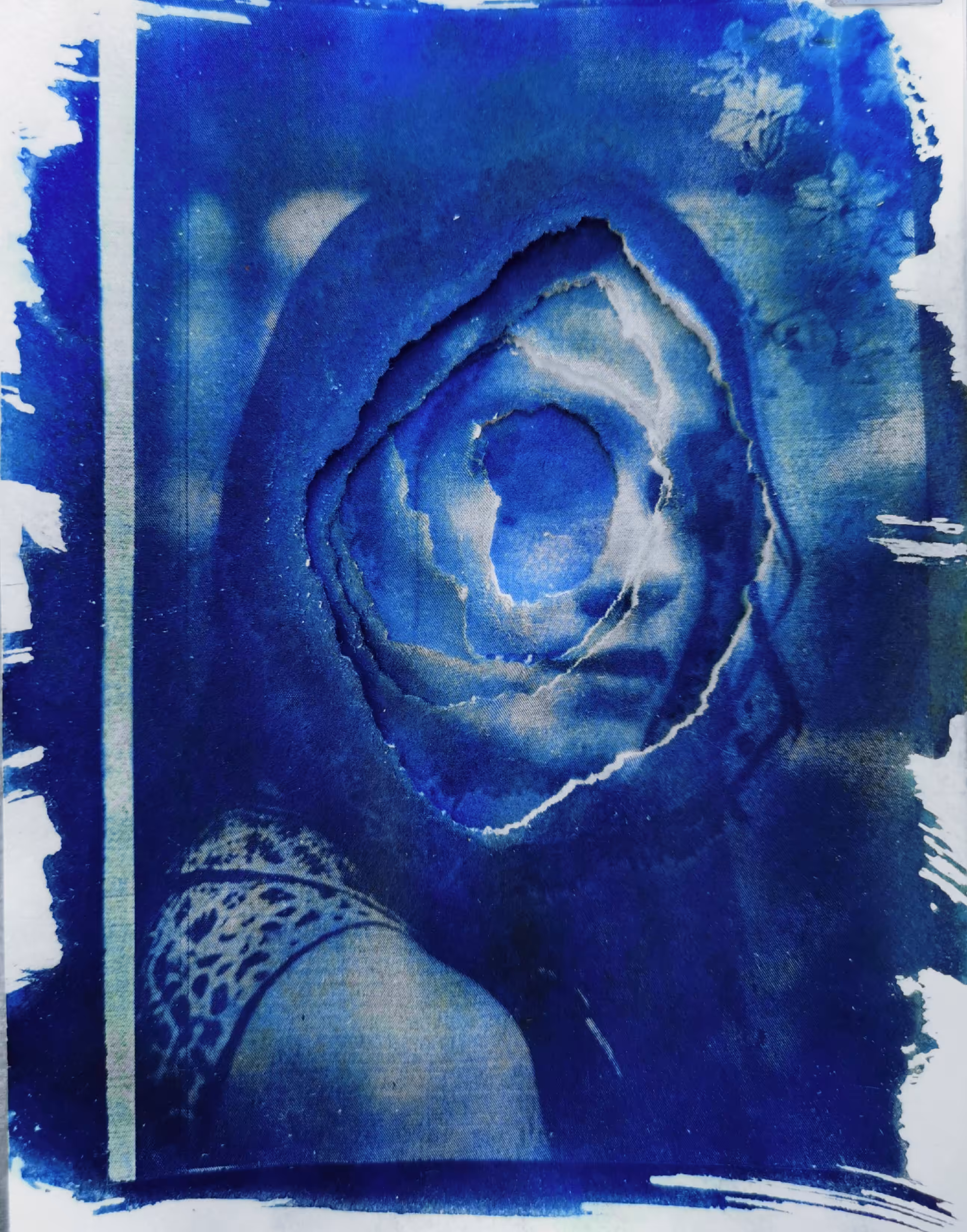 Layered Cyanotype 5