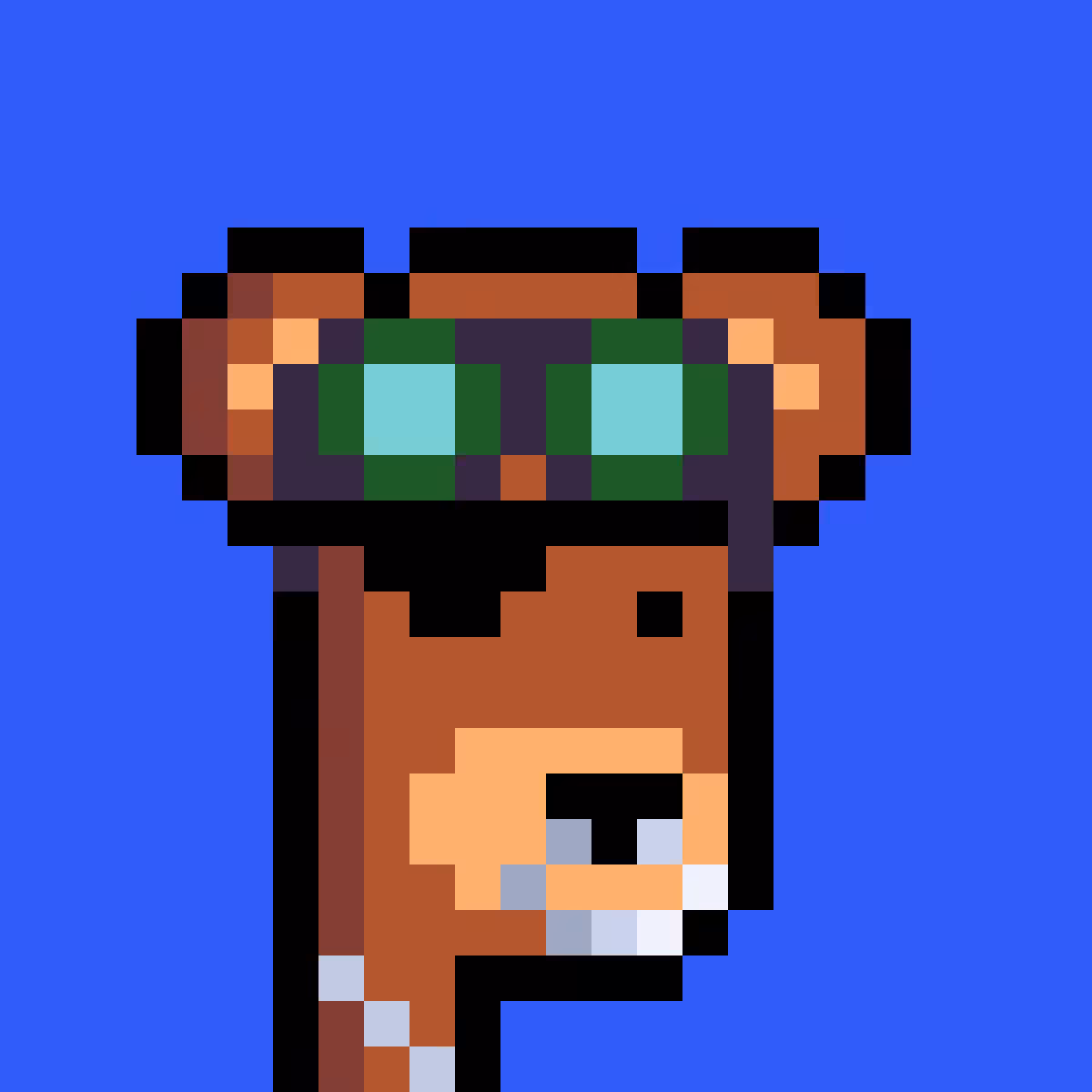 BearPunks #5072