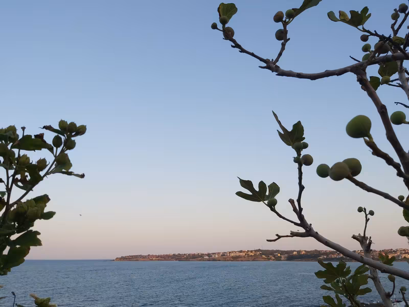 Soft Horizon Line