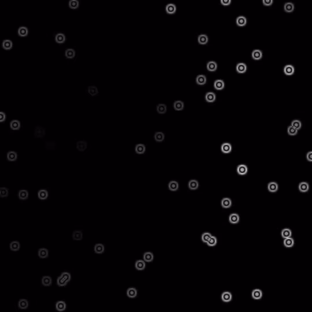 Life in the darkness