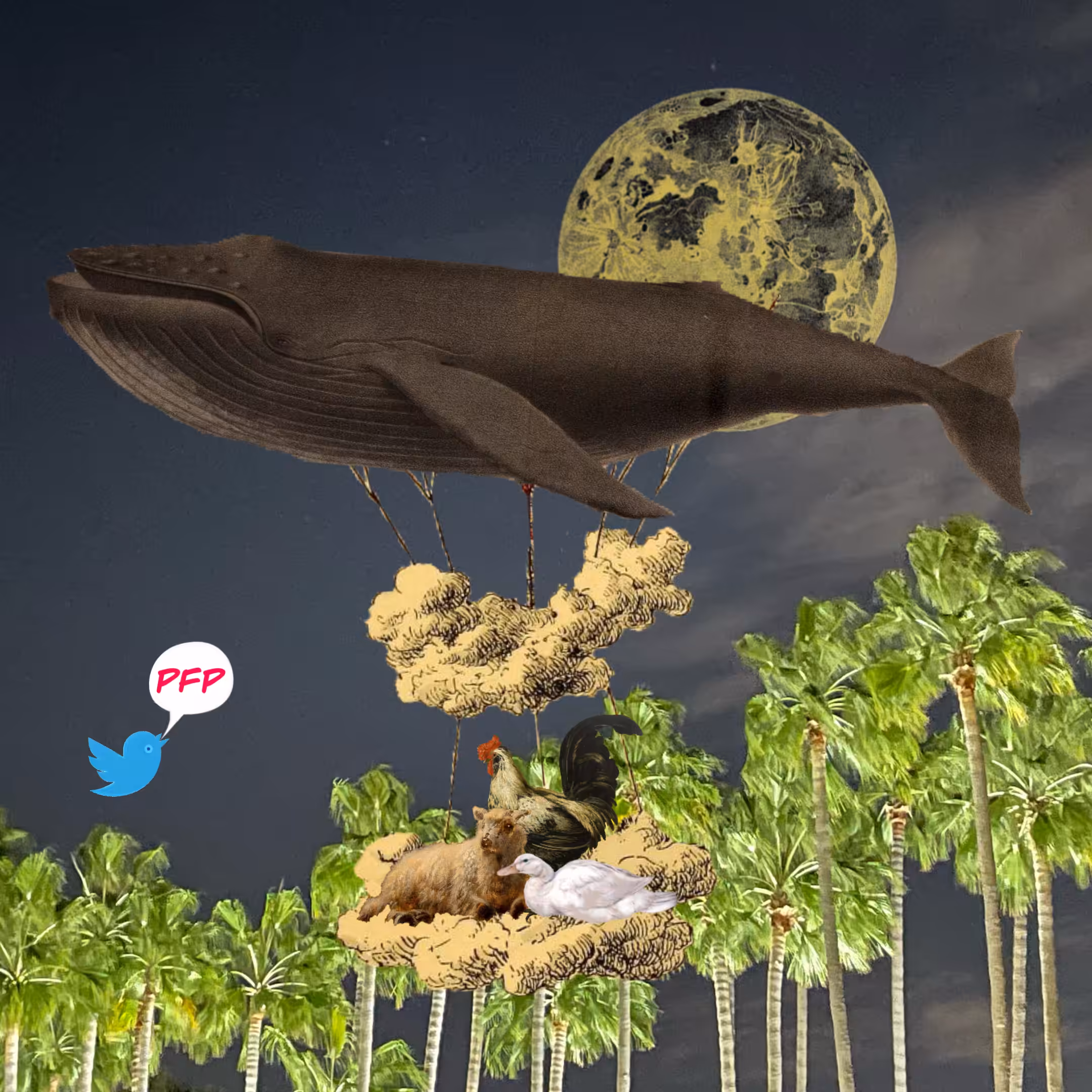 Airship #323