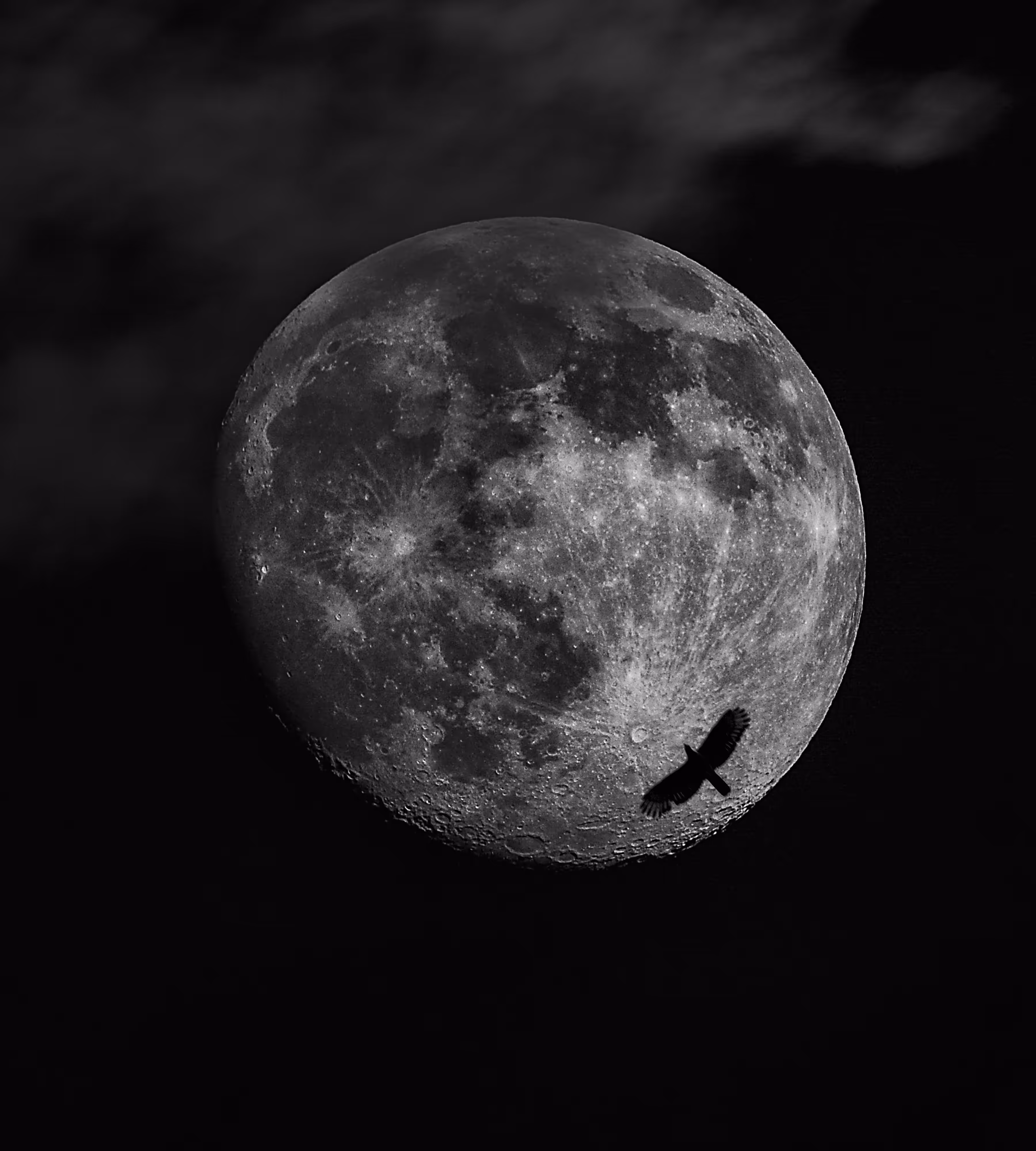 Fly to the Moon 