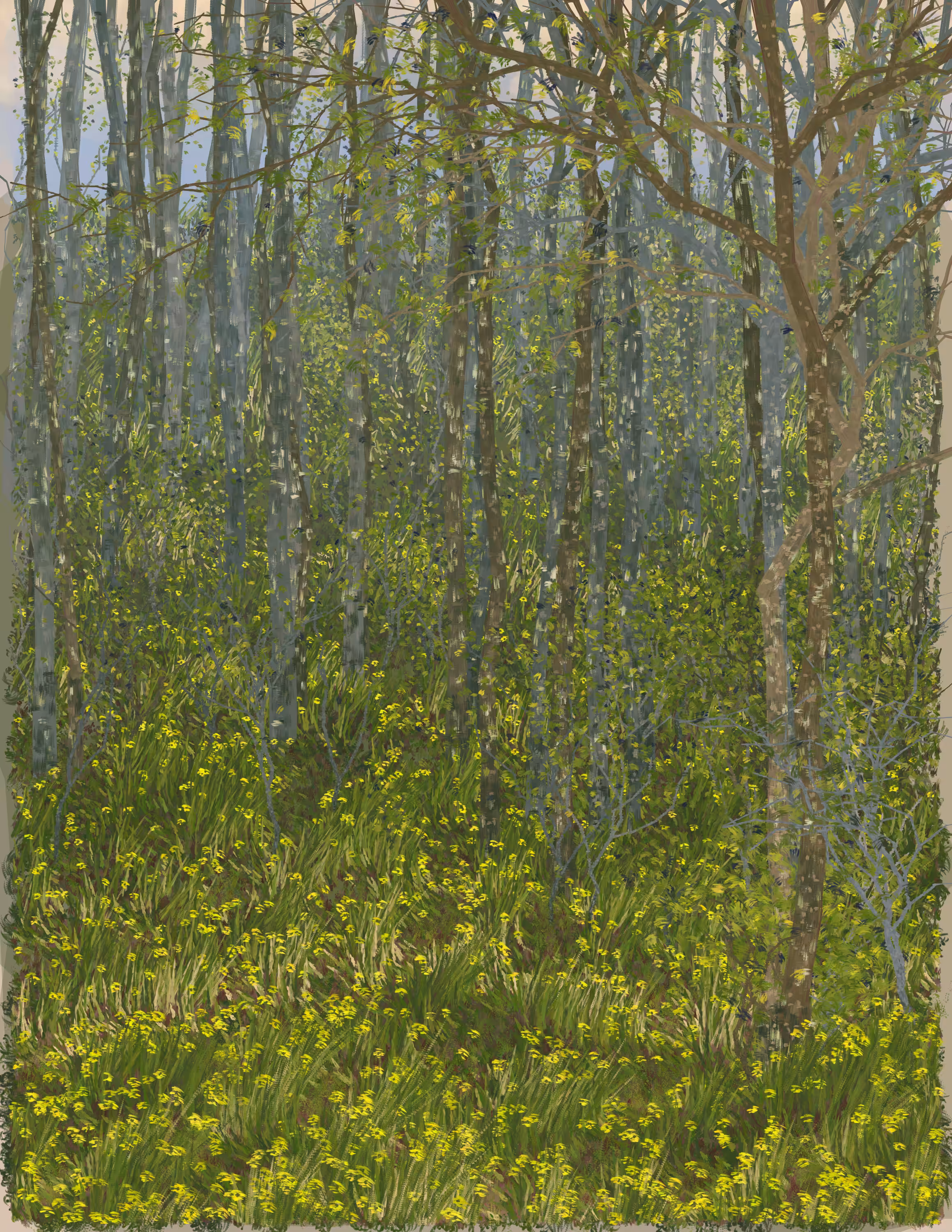 Rodeo posts: Buckeye Cove in Early Summer