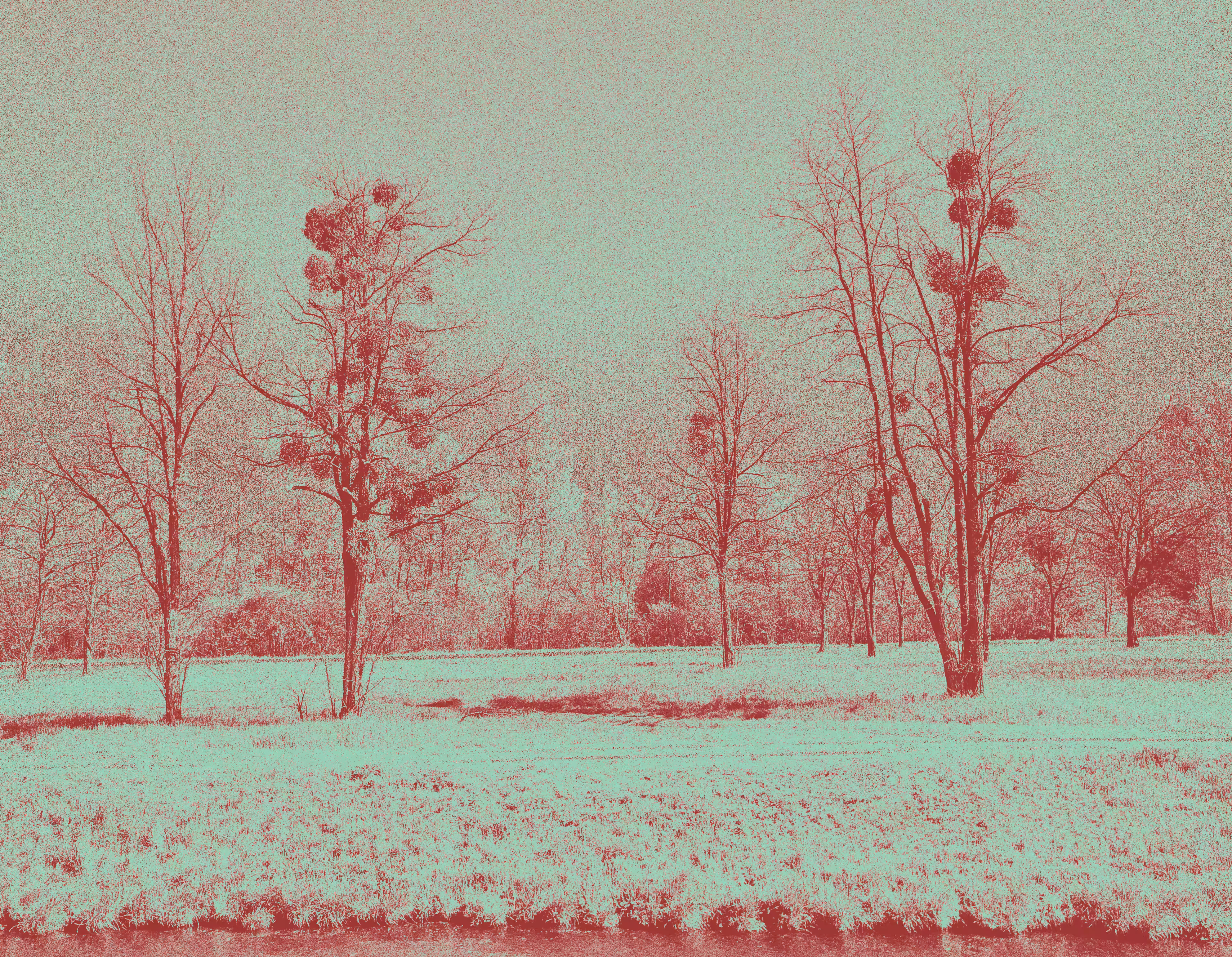 Red landscape