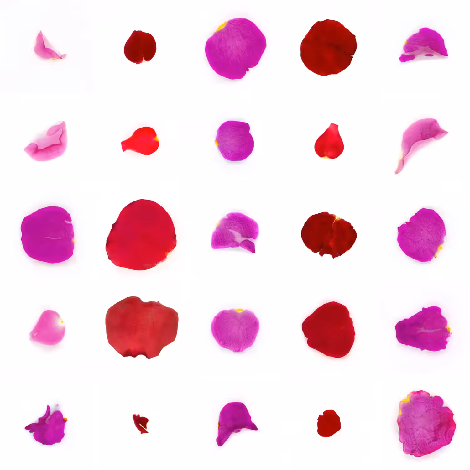 Infinite Petals 5x5#2402