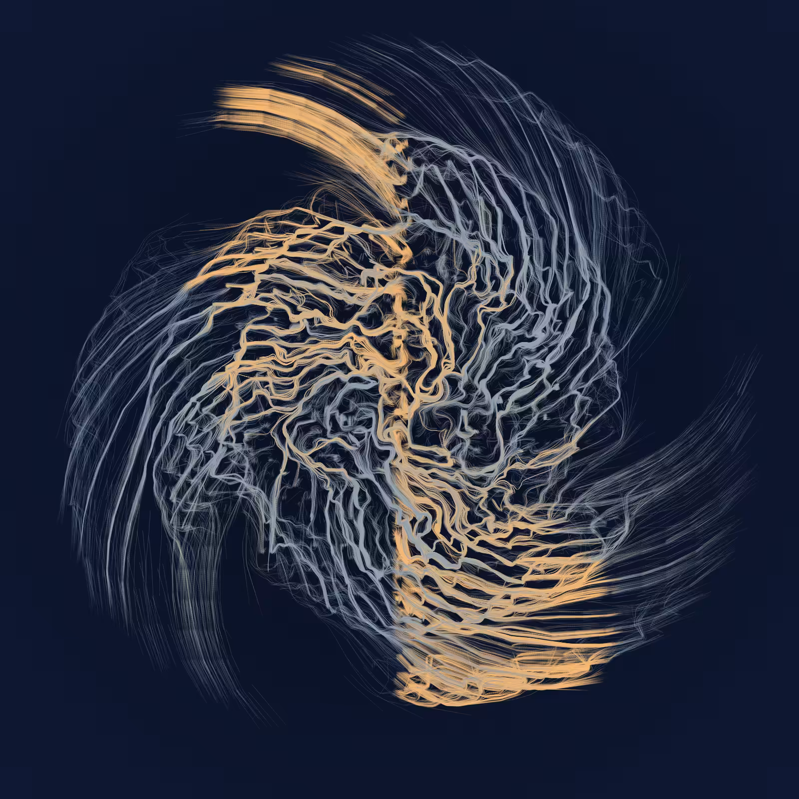 Dendrites #648