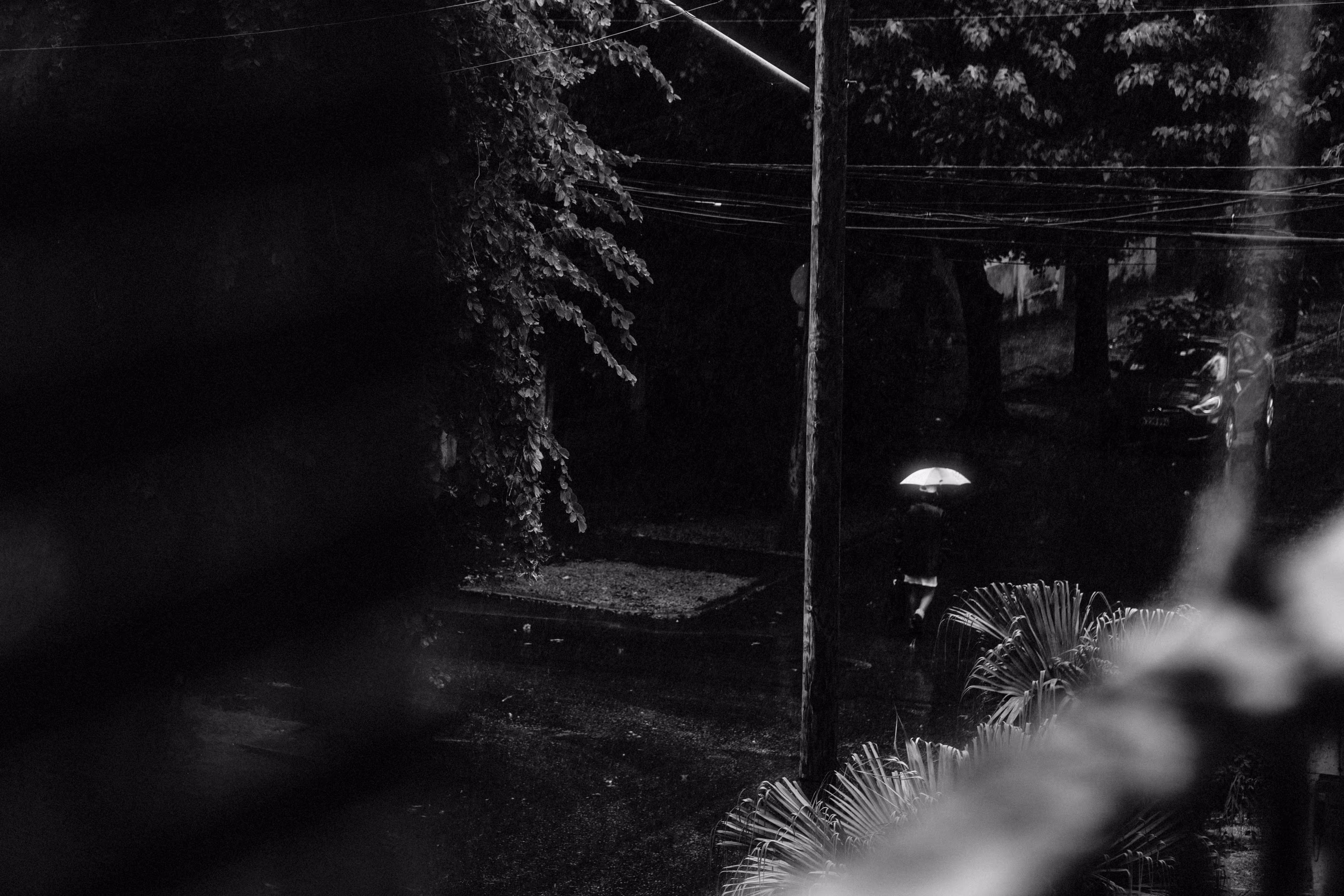 Rainy morning