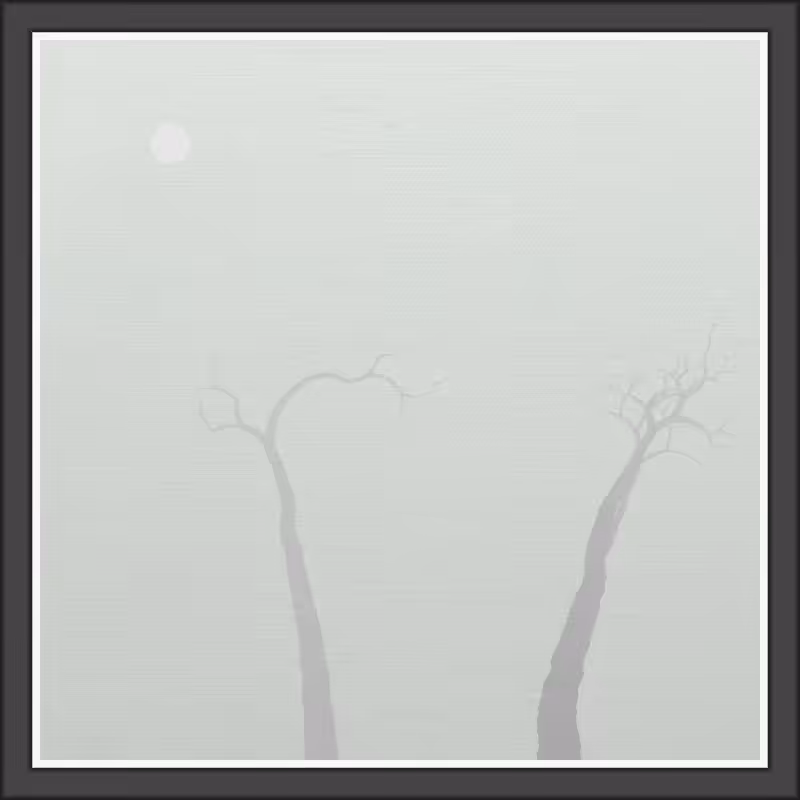 The Foggy Trees #7