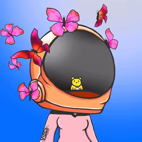 VibeNauts #2978