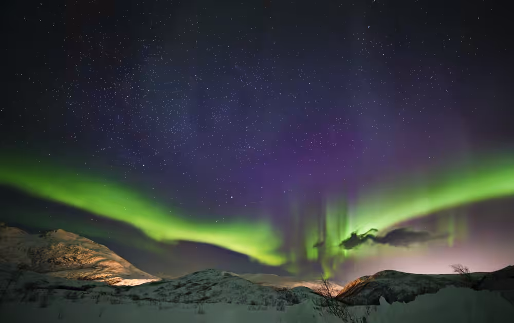 Northern Lights #1