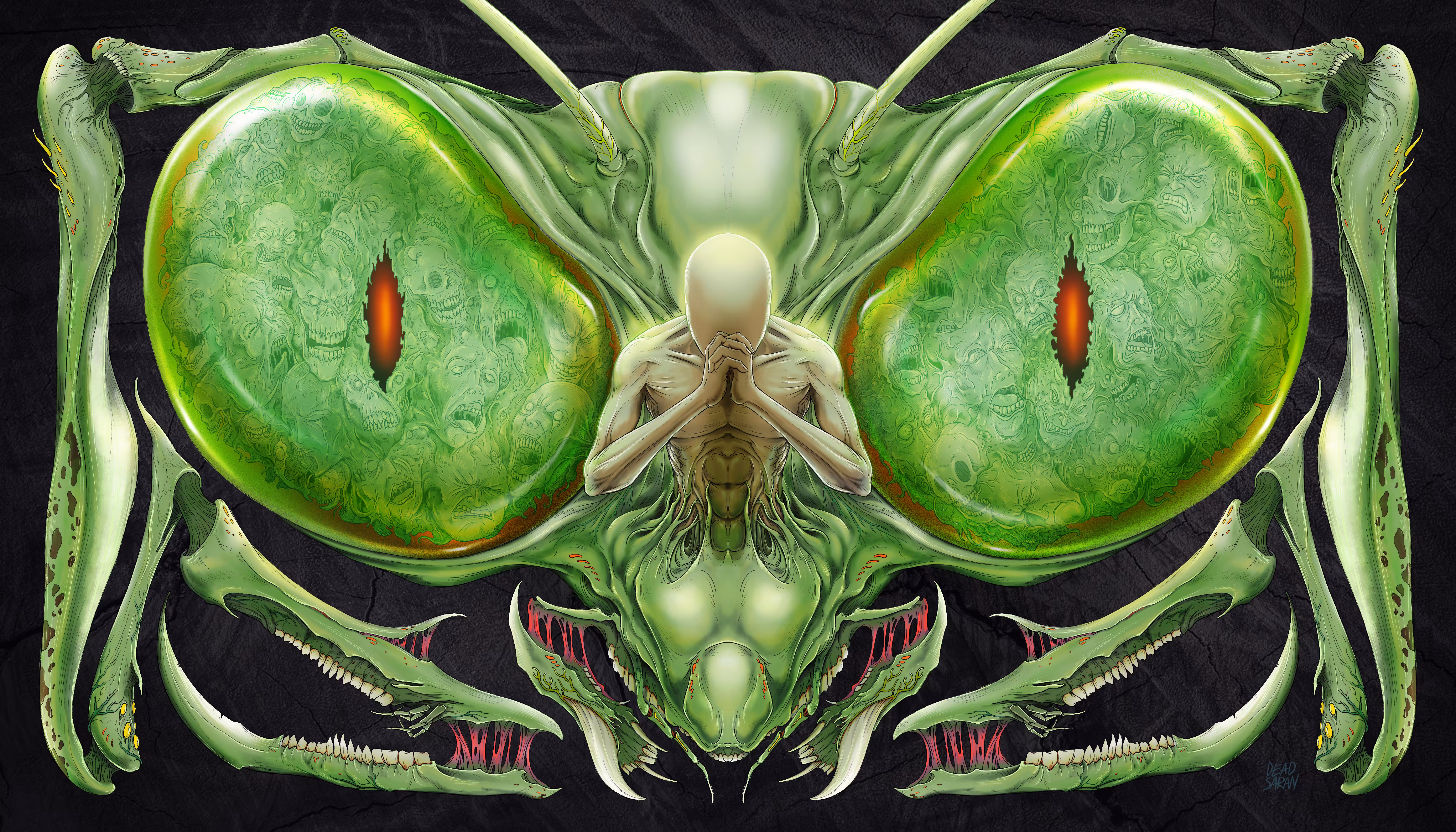 Praying Mantis