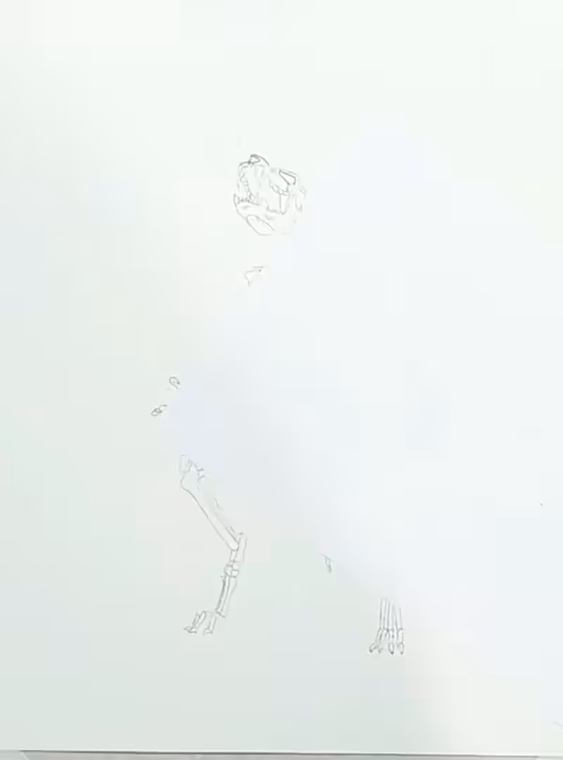 From Line to Life | Werewolf Skeleton | Exclusive AR Edition