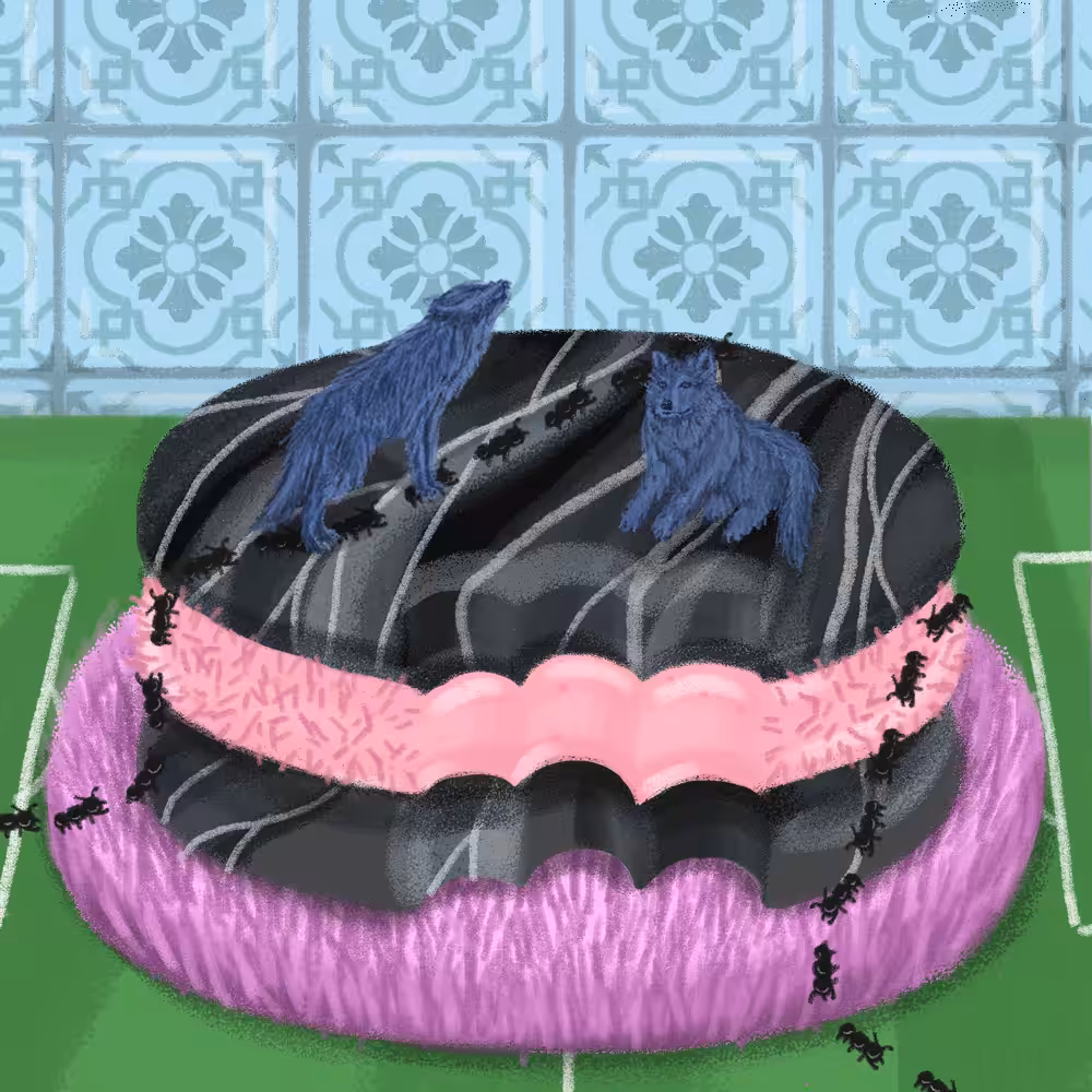 I really love you, Alfajor #21