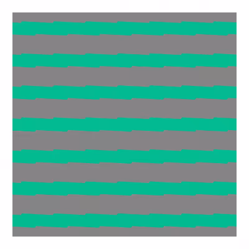 FLATWORLD #29