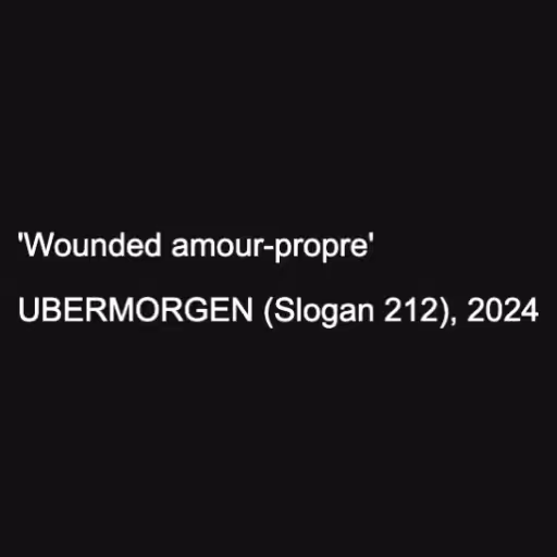 'Wounded amour-propr...