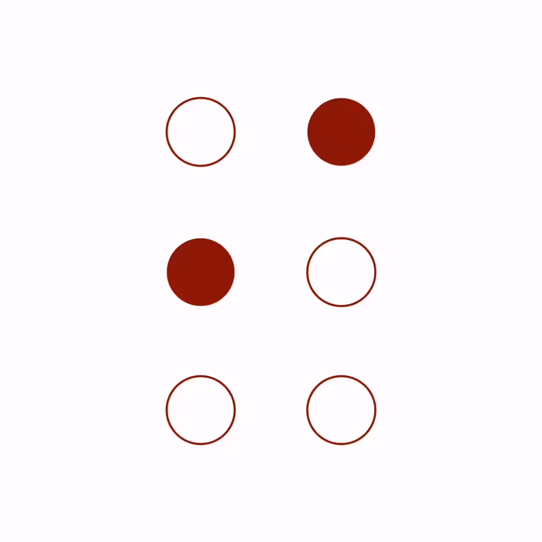 Braille Cell: 9