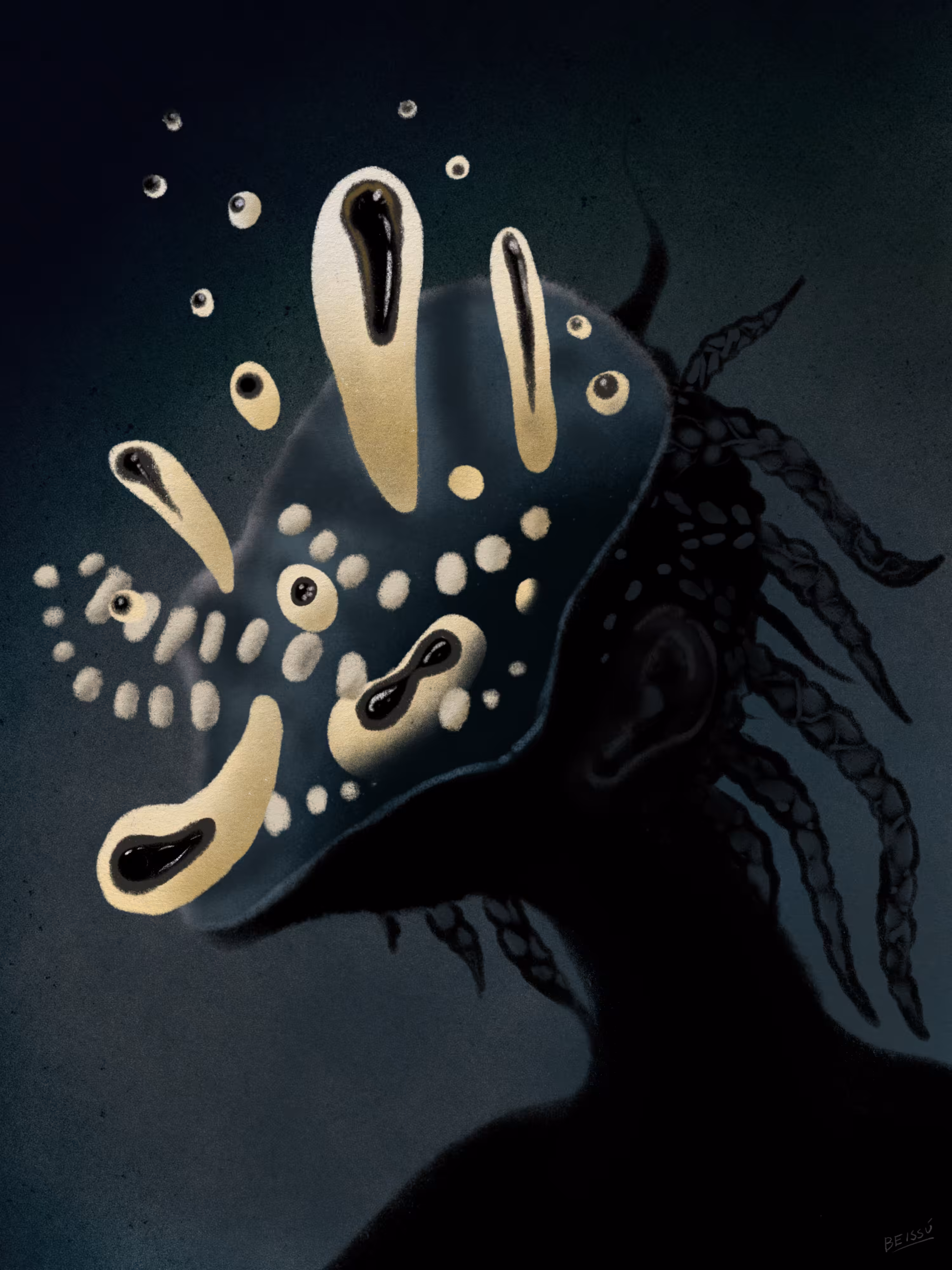ECHOES