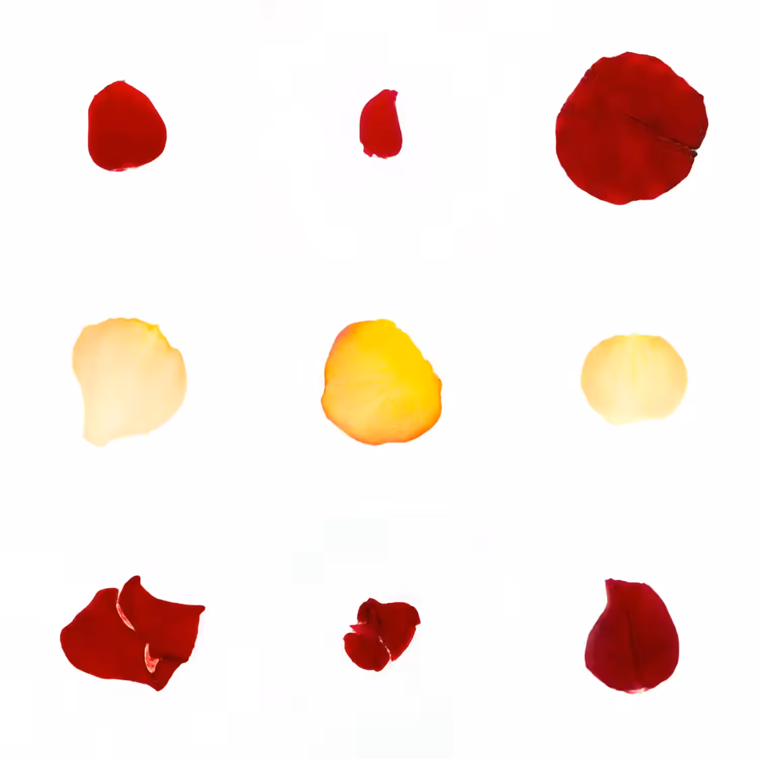 Infinite Petals 3x3#3785