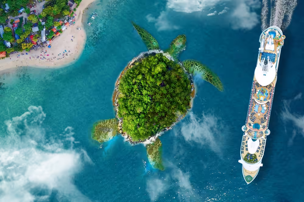 Crusing bby Turtle Island