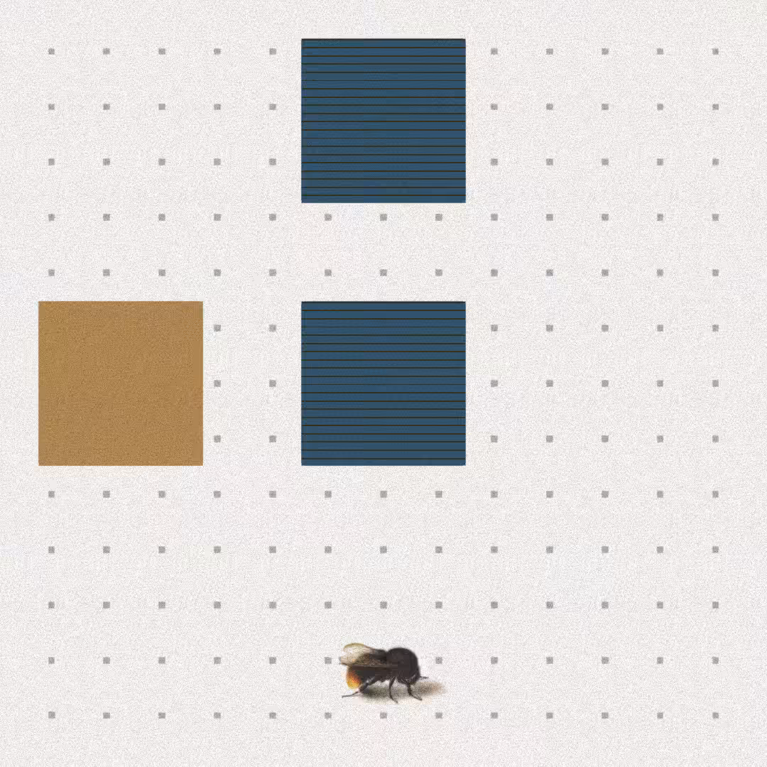 Bee #63