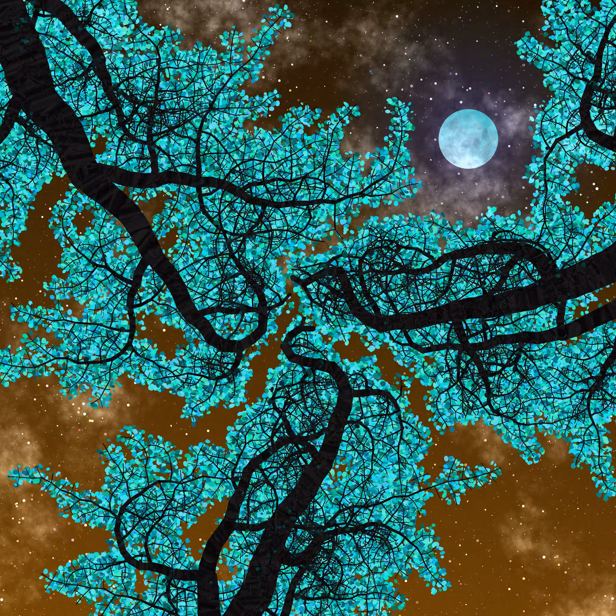 Tree Skyness #209