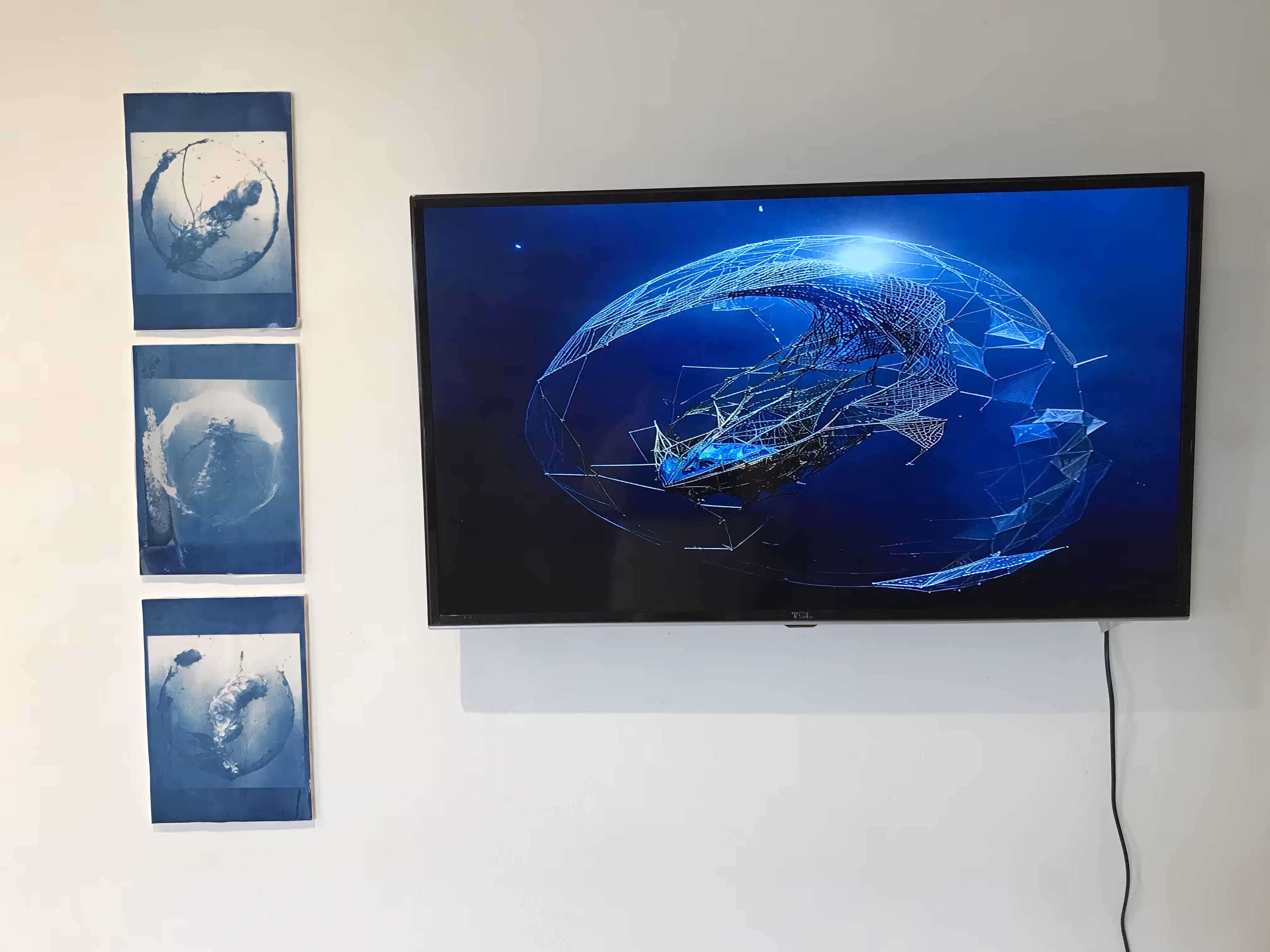 plastisphere creatures - Manipulated exhibition documentation #3