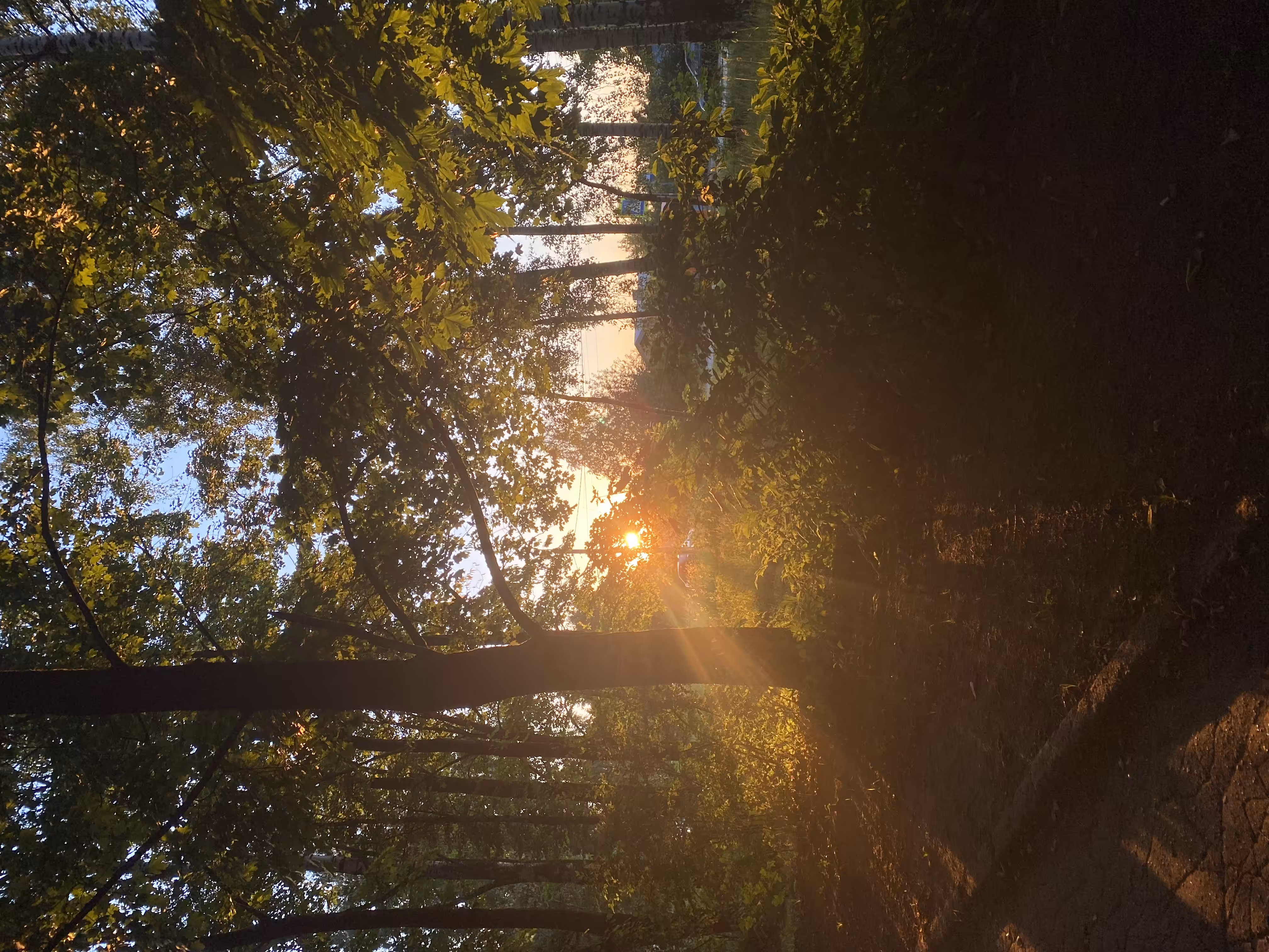 Nature photo