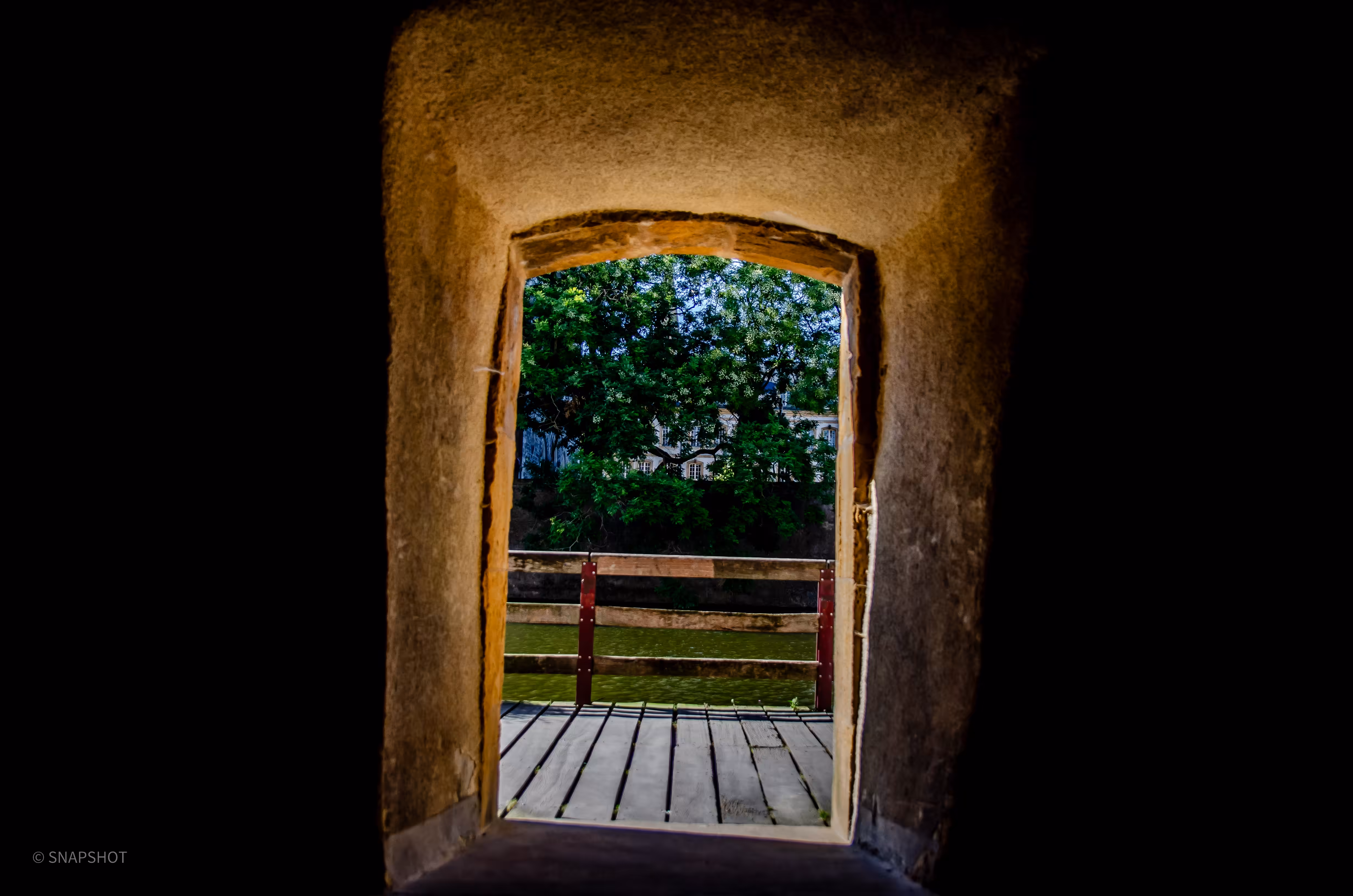 Window