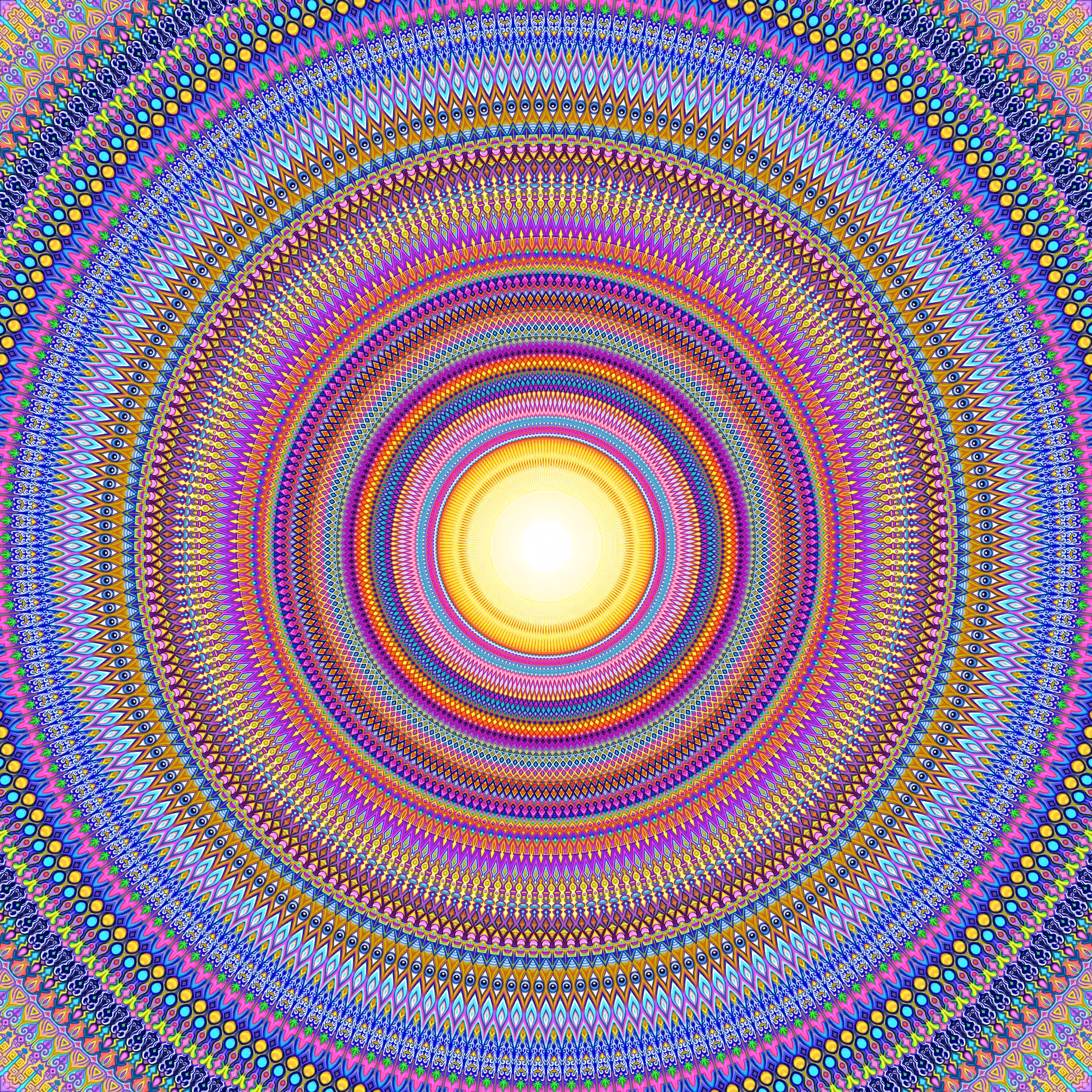 "Chrysanthemum Vortex"