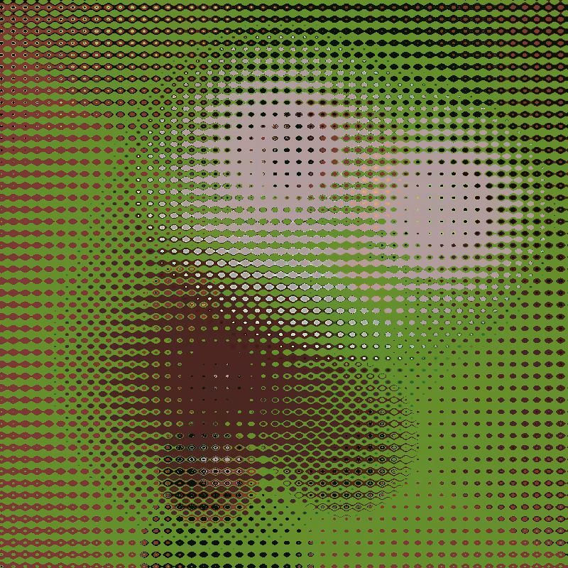 Focus #63