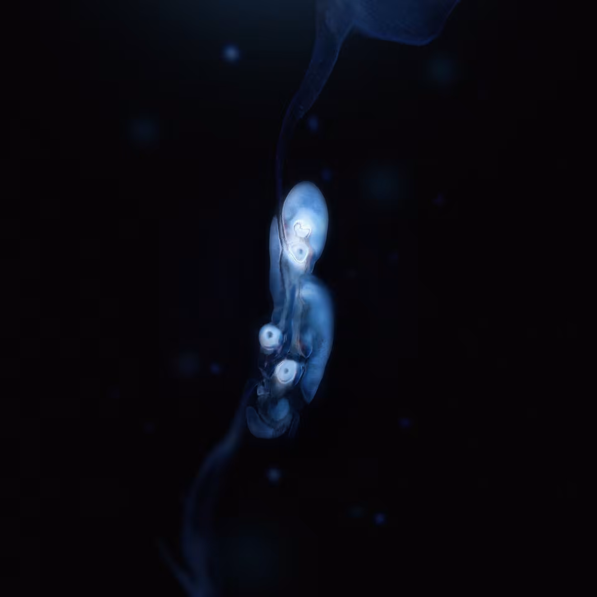 Sperma 04