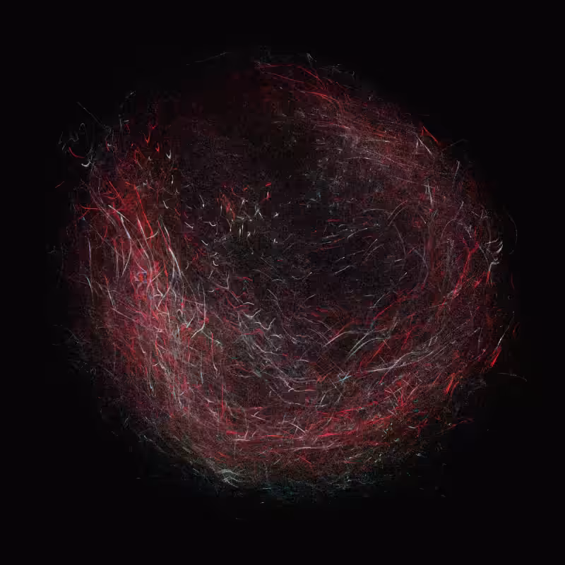 balls in vector fields #17