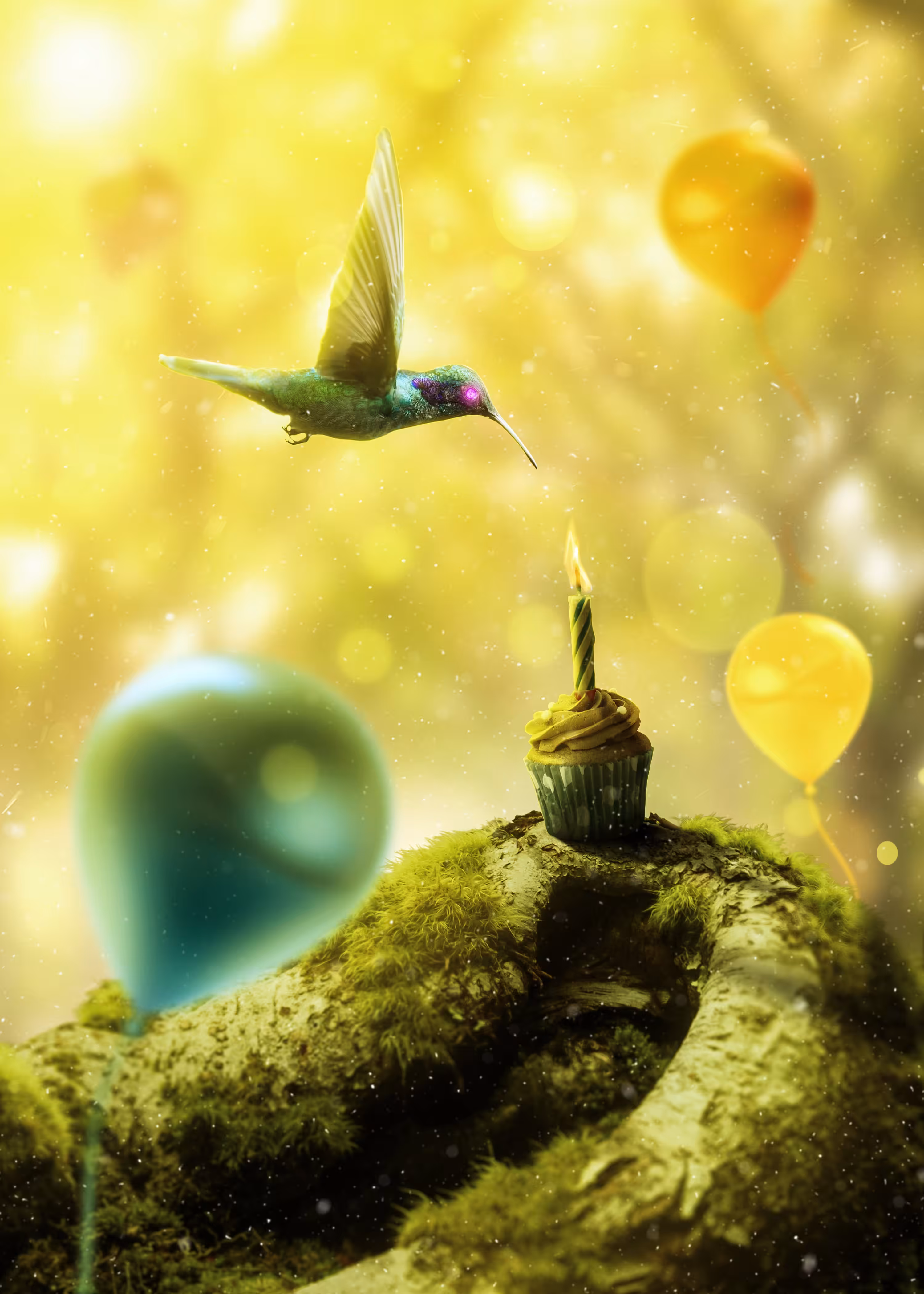 RE-BIRD(TH)