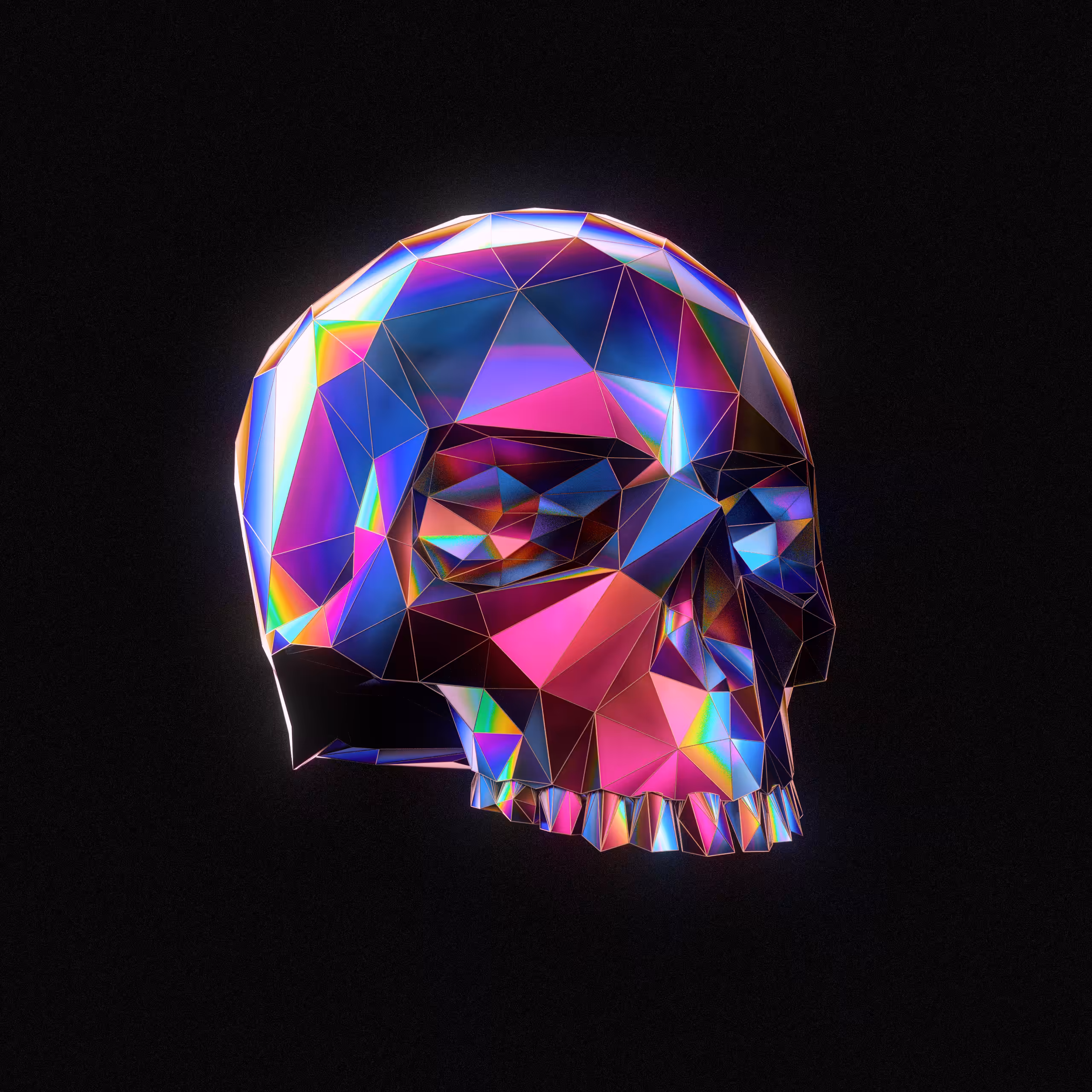 Cranium