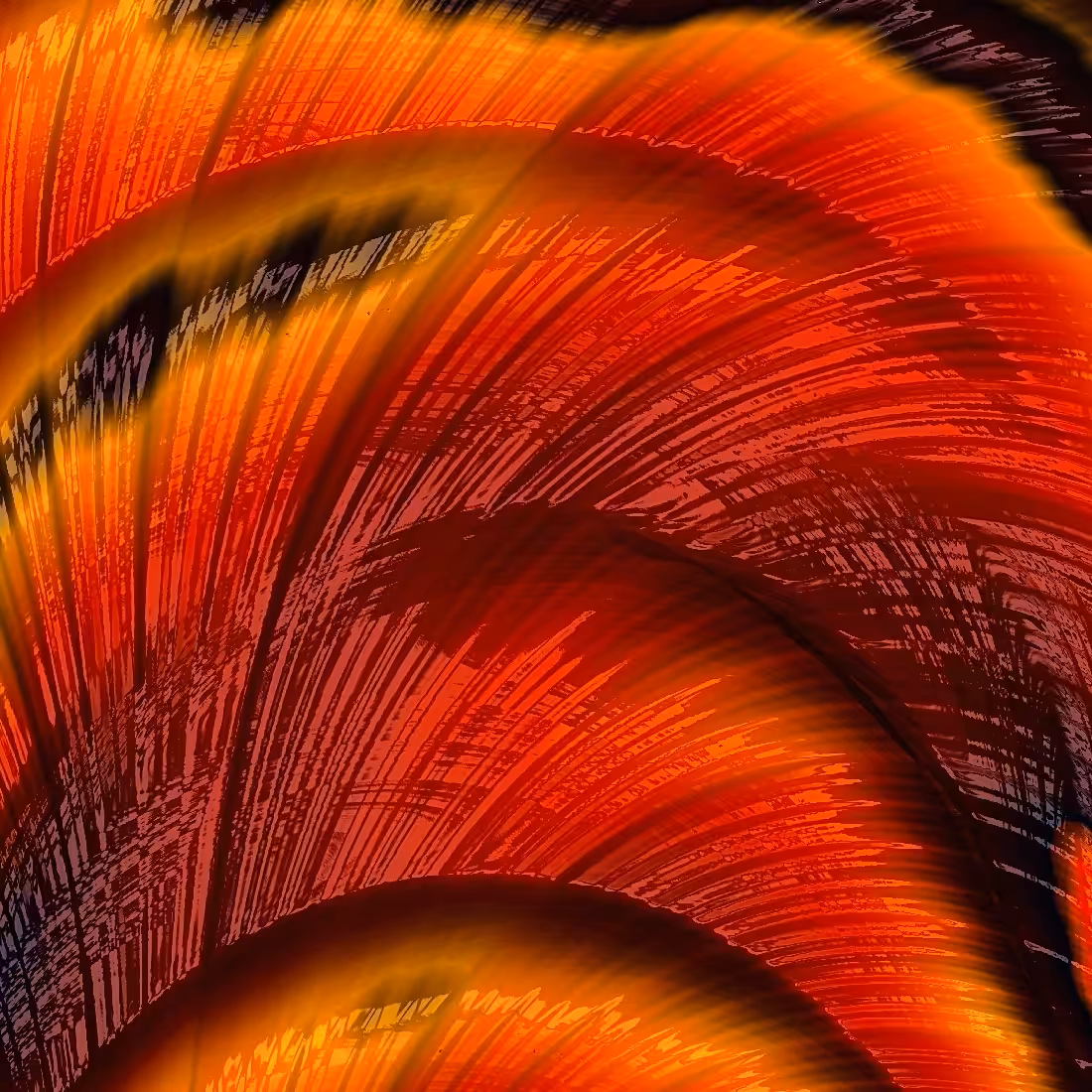butterfly 04