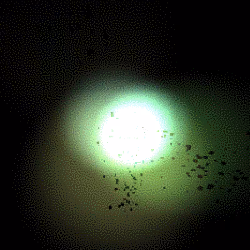 Moths #8
