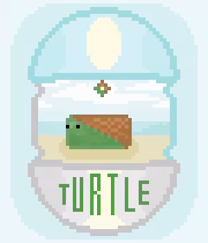 TURTLE 'GEOMETRY'