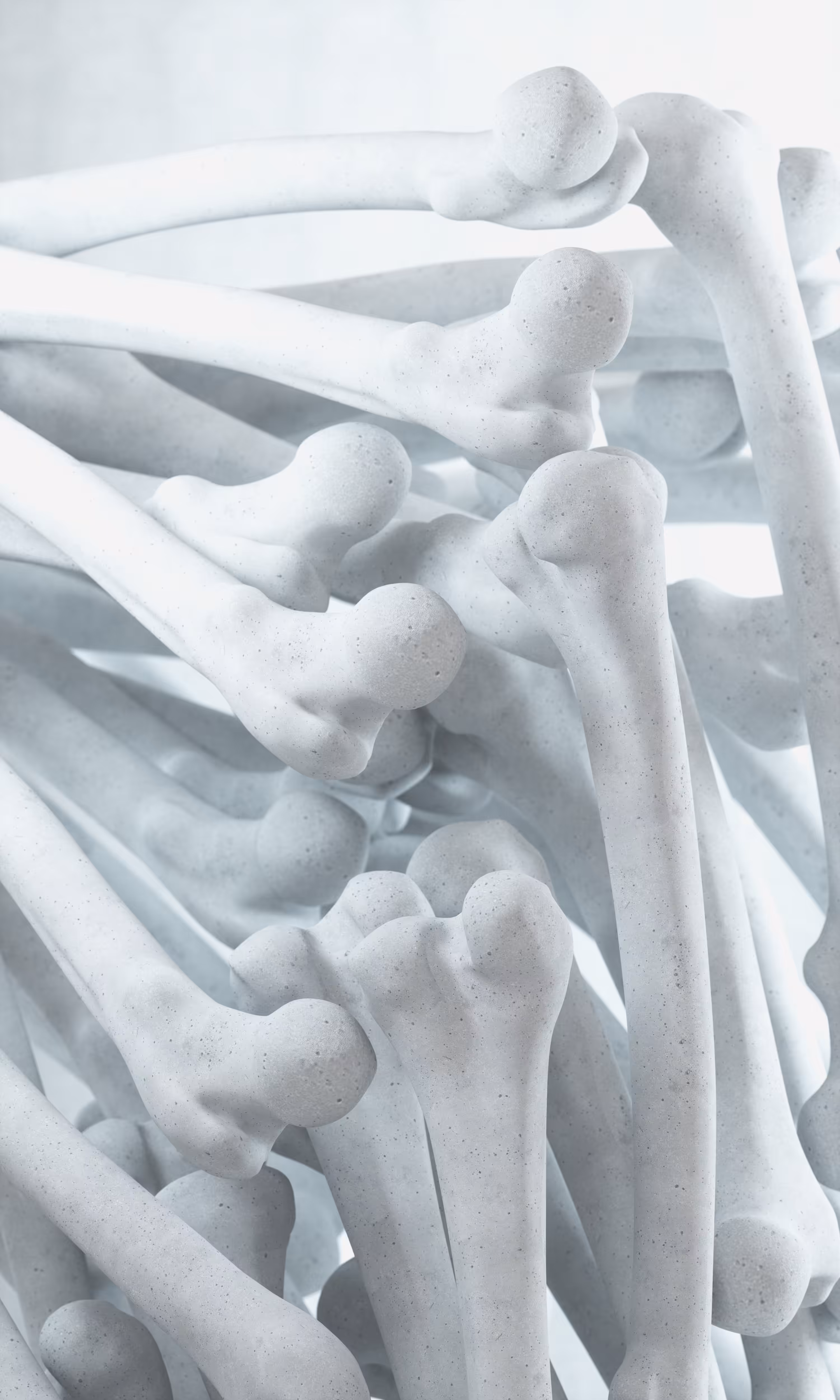 Osteo | Joints