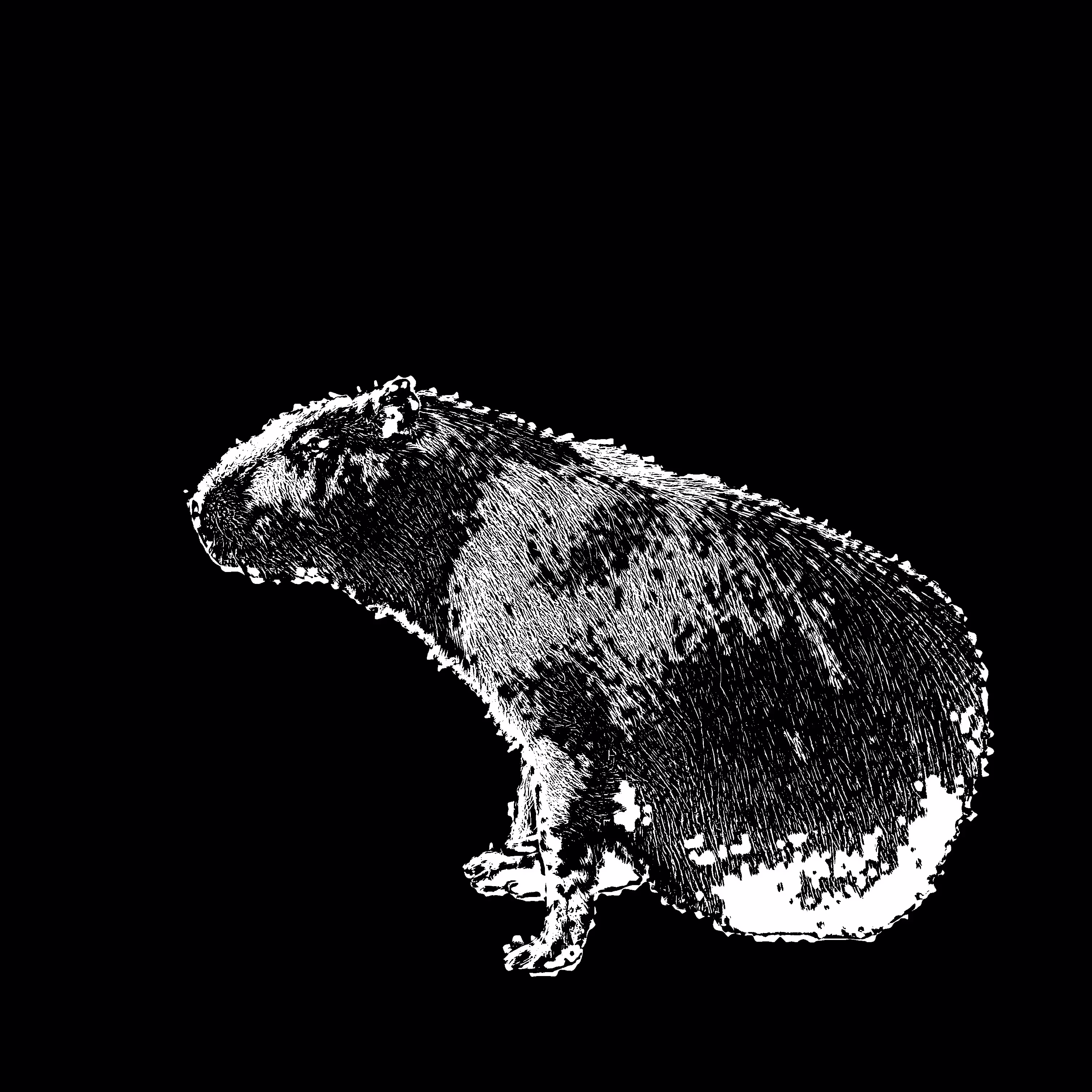 The Capybaras of Ipaussu [ Descolada // Raster Index a2 ]