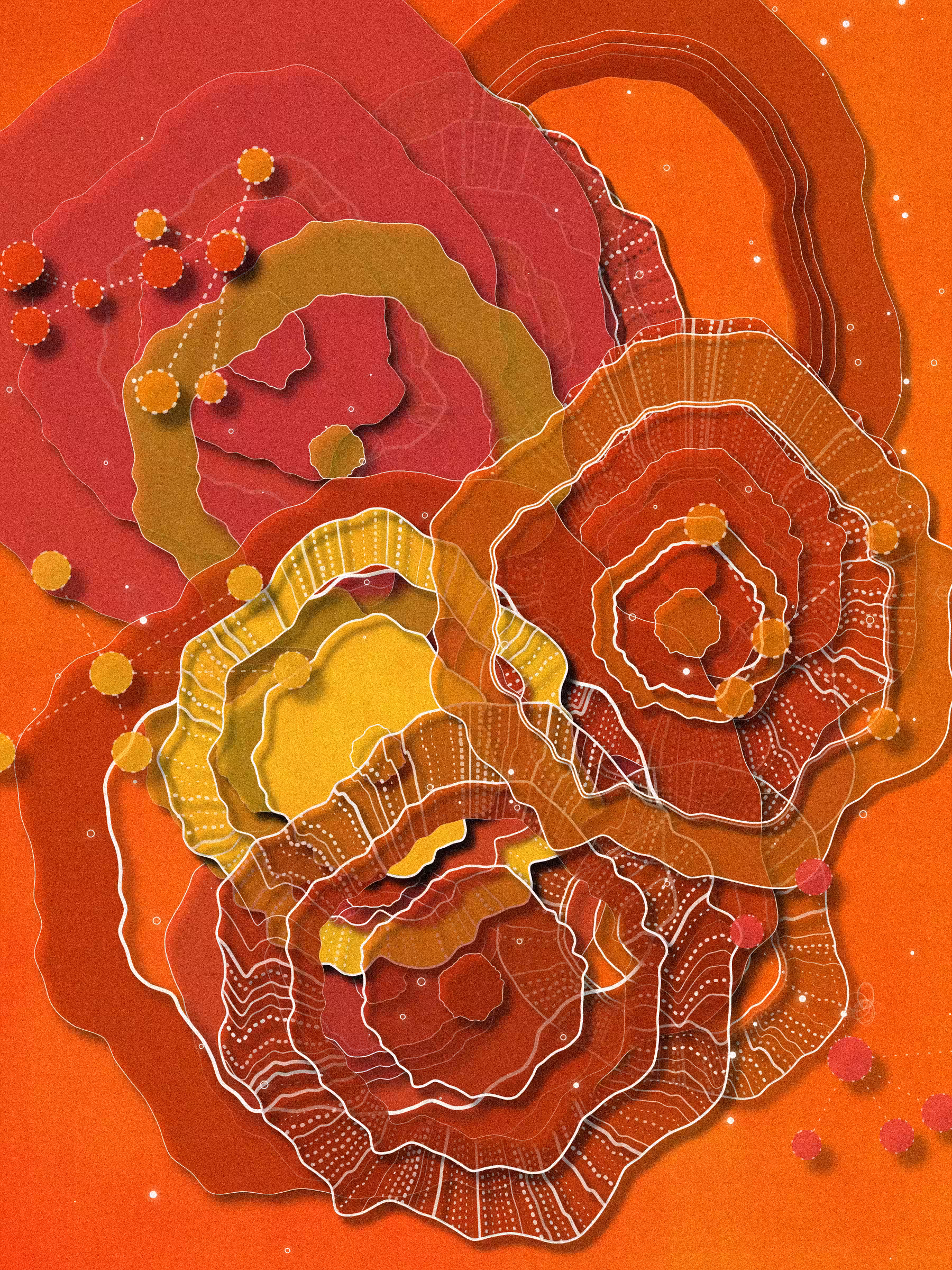 Coral #2