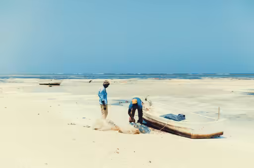 Tale #010: Chasing Shorelines
