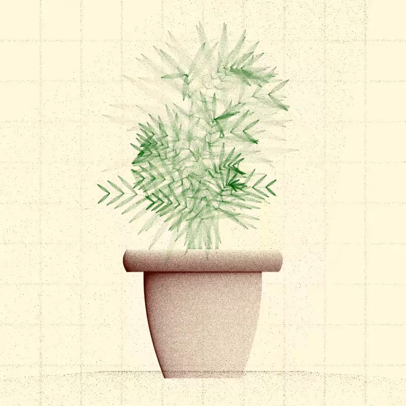 🌱 Potted & Printed #79