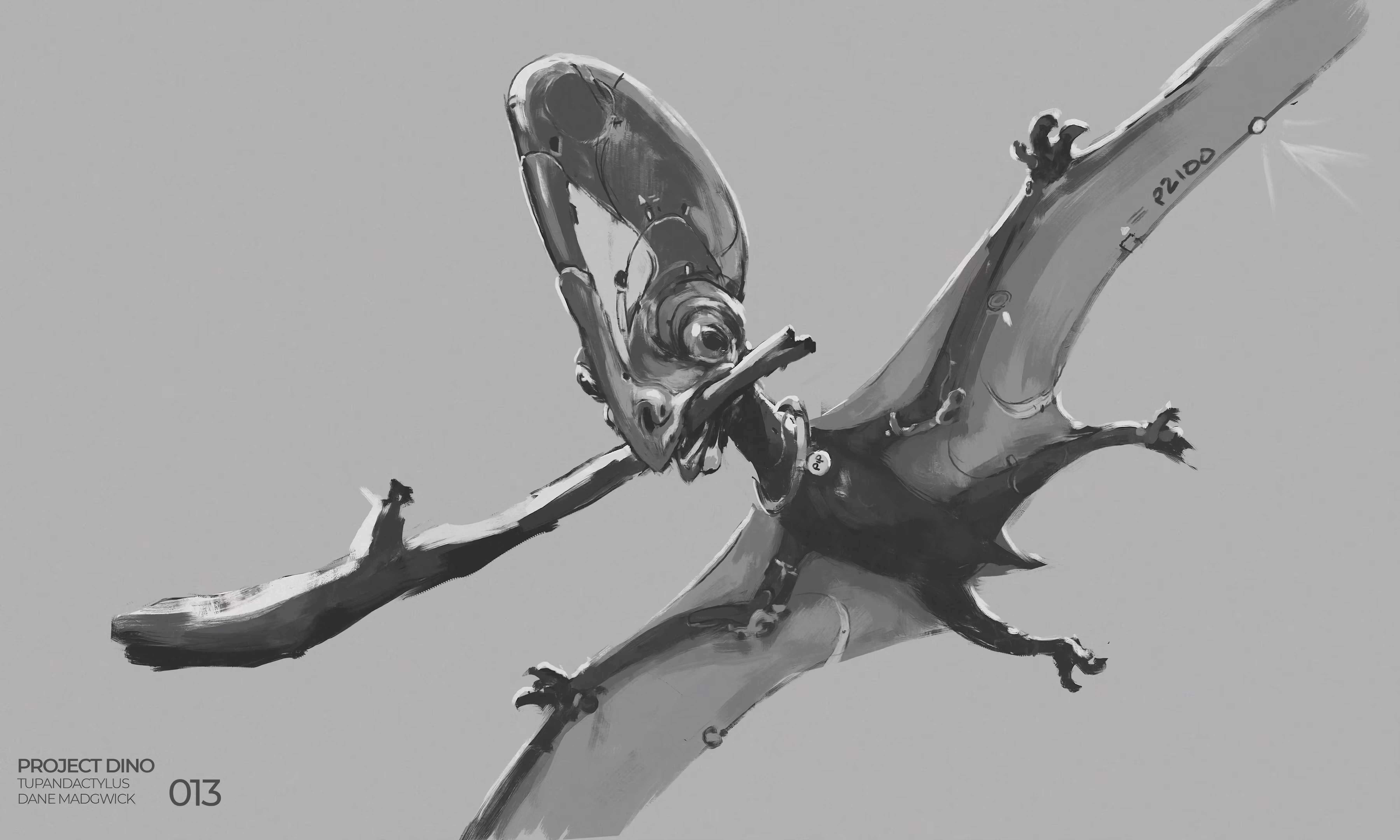Pre-Historic Dinozor - Tupandactylus - (Edition of 2)