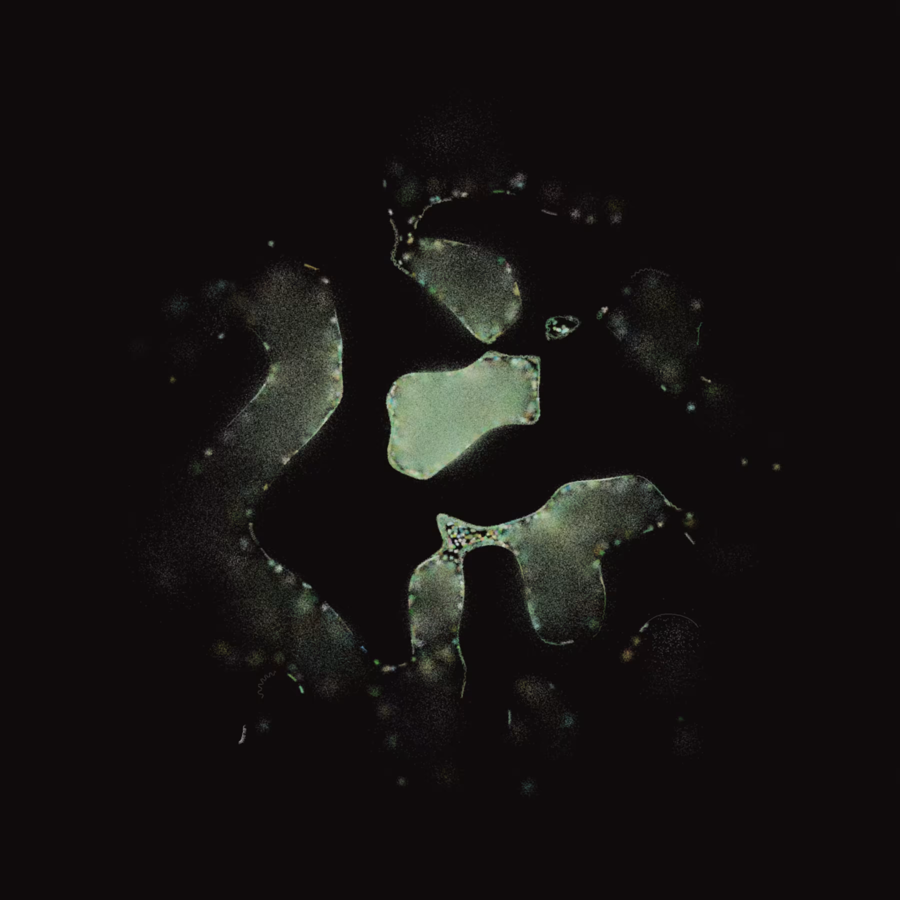 Membrane #25